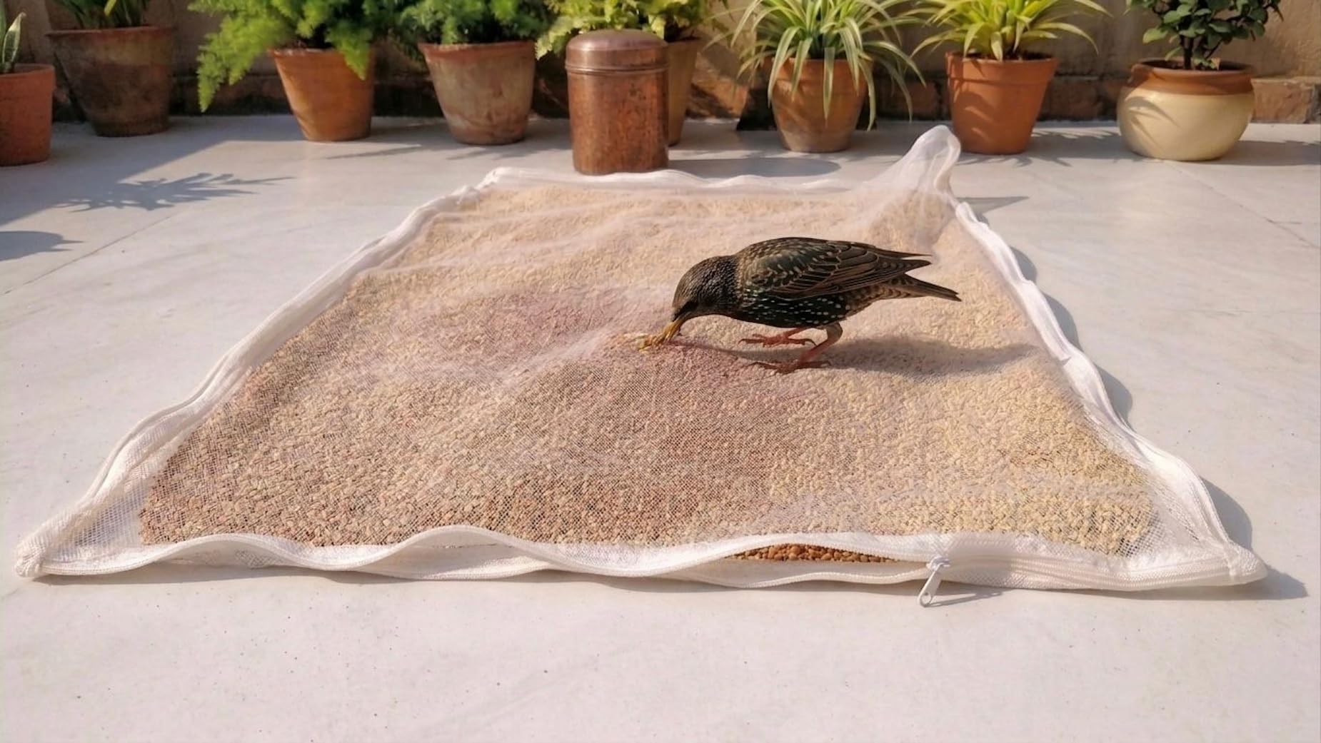 Kuvru (Pack Of 1) Cotton Drying Cloth With Net, Off White, 73 X 91 Cm, Breathable, Washable, Reusable, For Papad, Vadagam, Spice