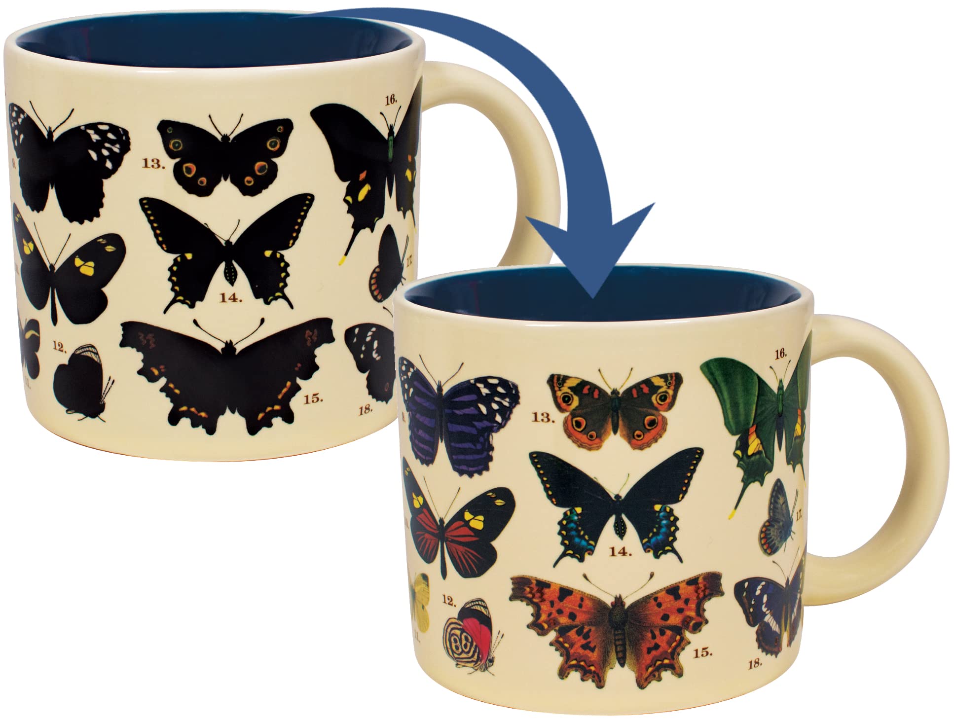 The Unemployed Philosophers Guild Butterfly Color Changing Heat Transforming Mug  Hot Coffee Reveals 18 Butterflies in Beautifu