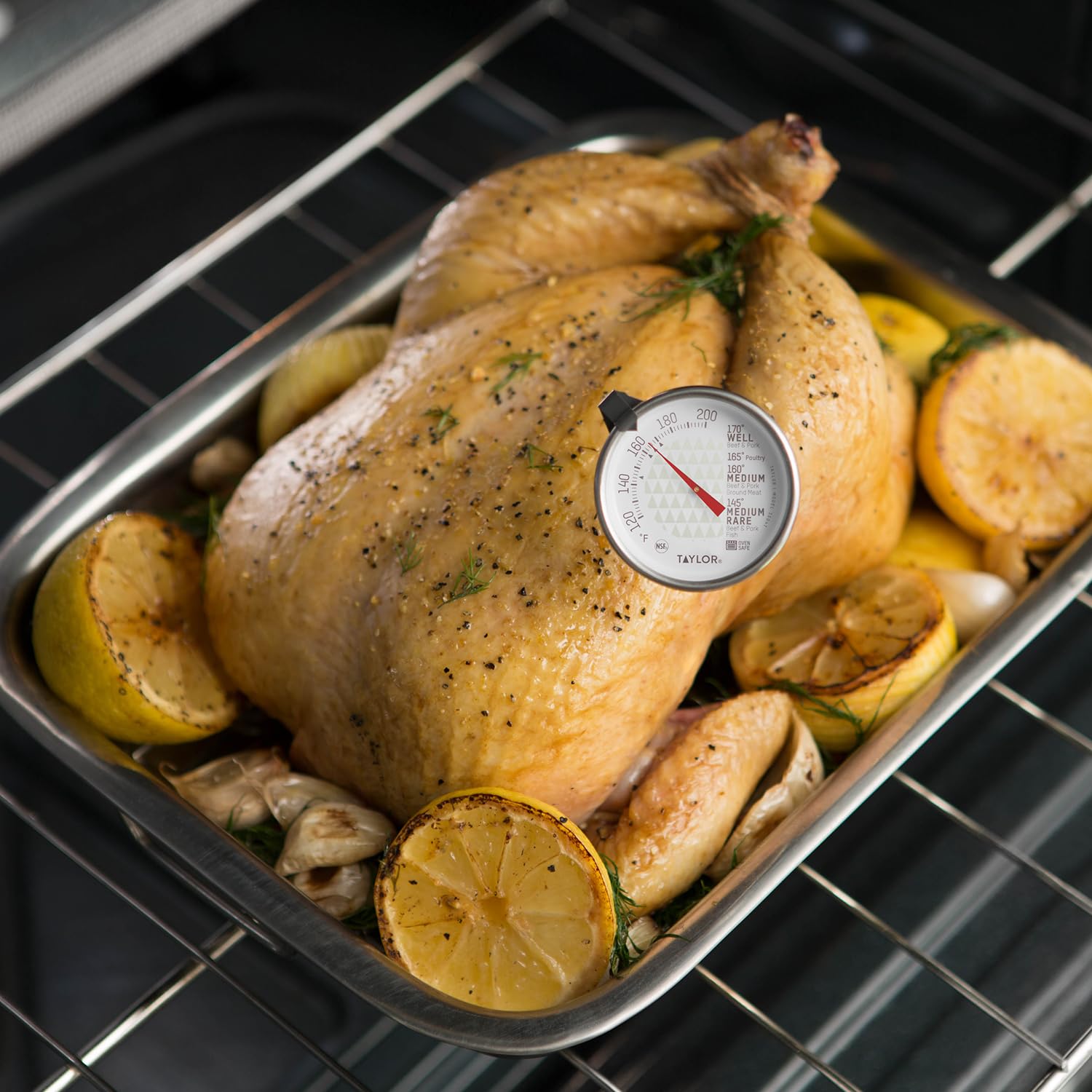 Taylor Tap3504 Trutemp Meat Dial Thermometer