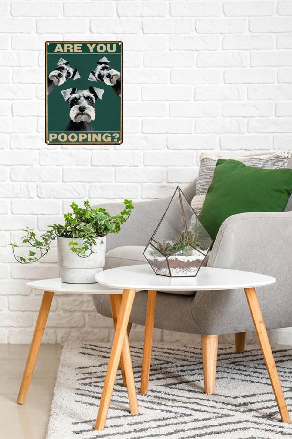 Toppacific Miniature Schnauzer 12X8 Inch Are You Pooping Sign Bathroom Decor- Dog Metal Poster Dog Lover Gift Art Funny Dogs Wal