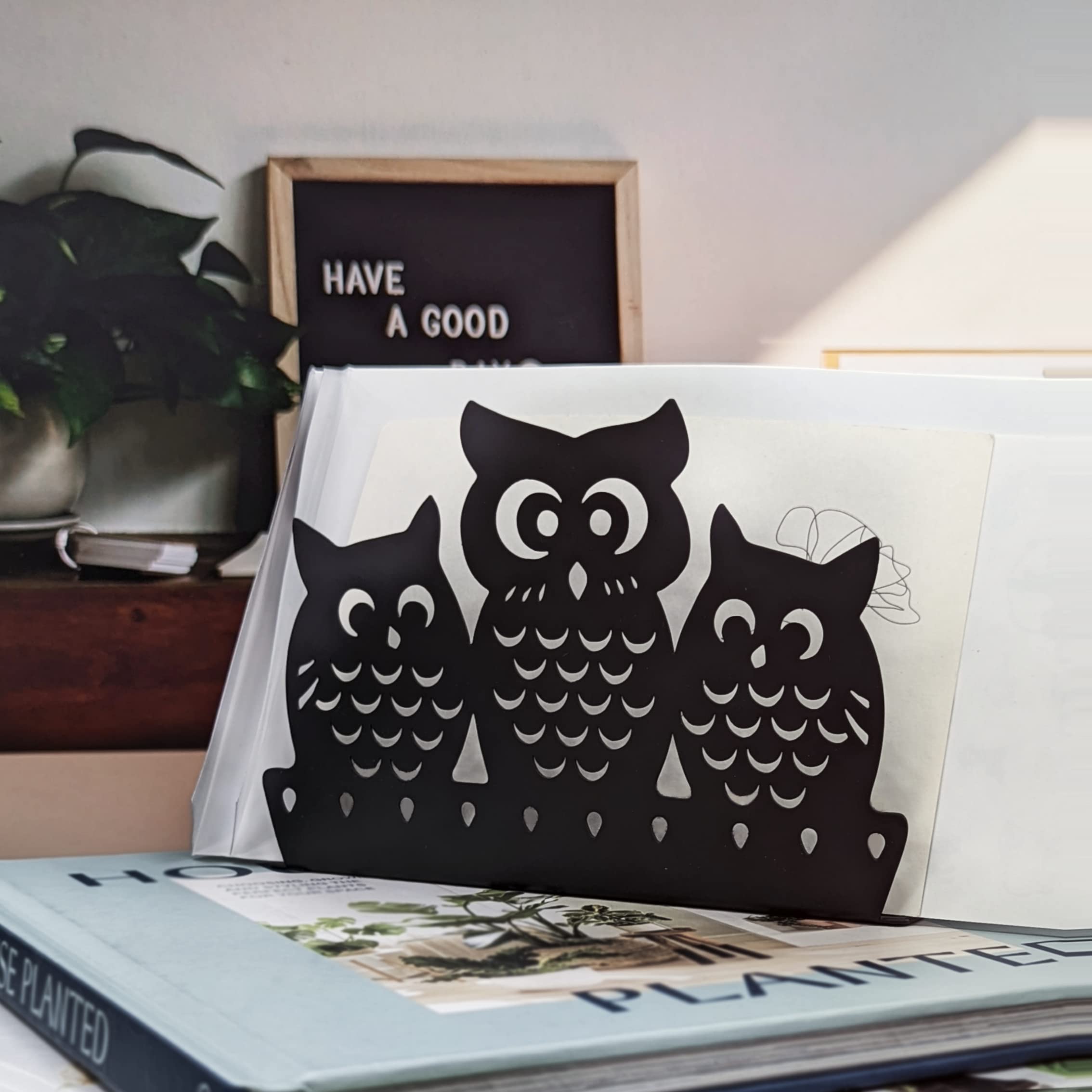 Mango Steam Napkin Holder (Owl  Black)