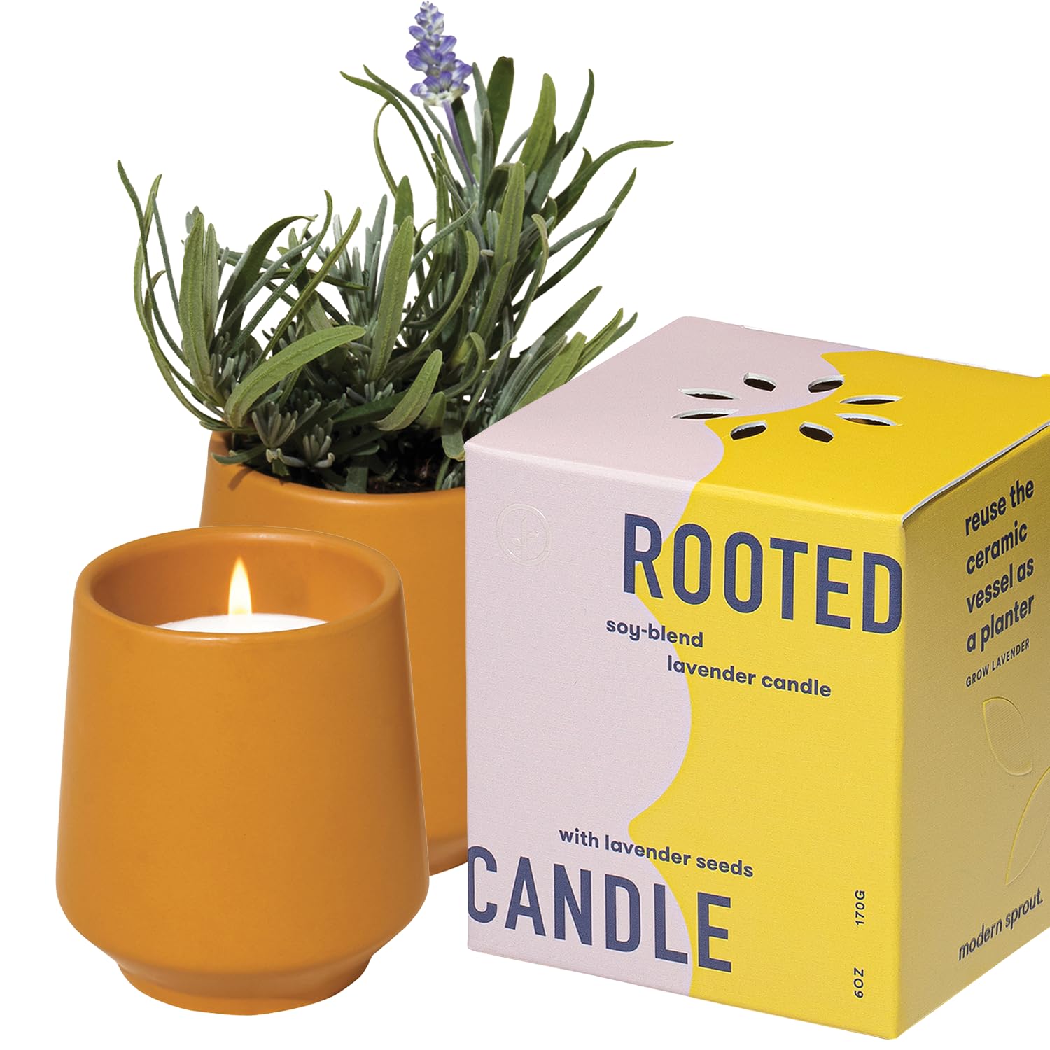 Modern Sprout - 2 in 1 Cedarwood Scented & Soy Candle with Seeds that Grows into Lavender Plant - 6 oz w/ 42 hr Burn time in Mat