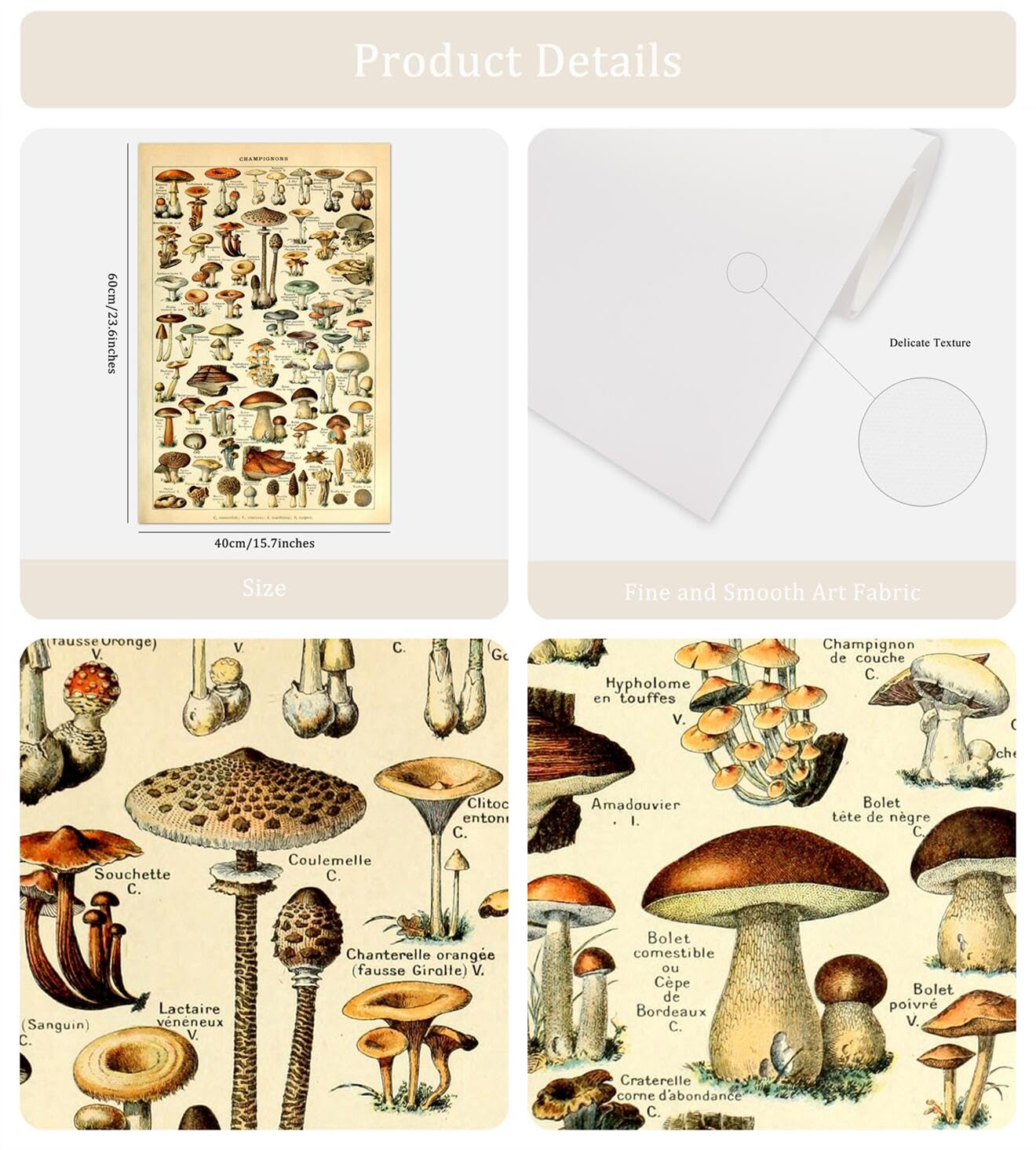 Meishe Art Vintage Poster Print Mushrooms Champignons Identification Reference Chart Diagram Illustration Botanical Educational Wall Decor
