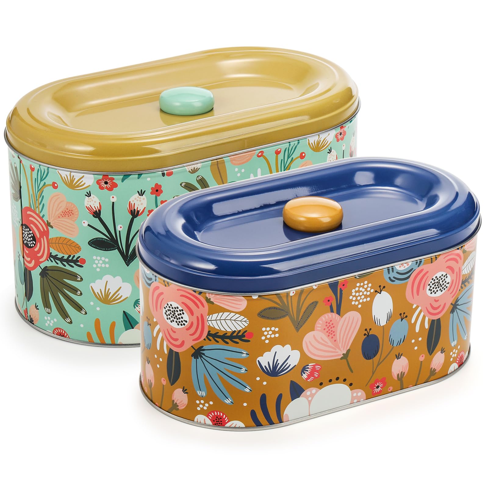 Coloch 2 Pack Tin Cookie Snack Jars With Lid, Metal Biscuit Storage Container Decorative Snack Tin Canister Cute Countertop Tinp