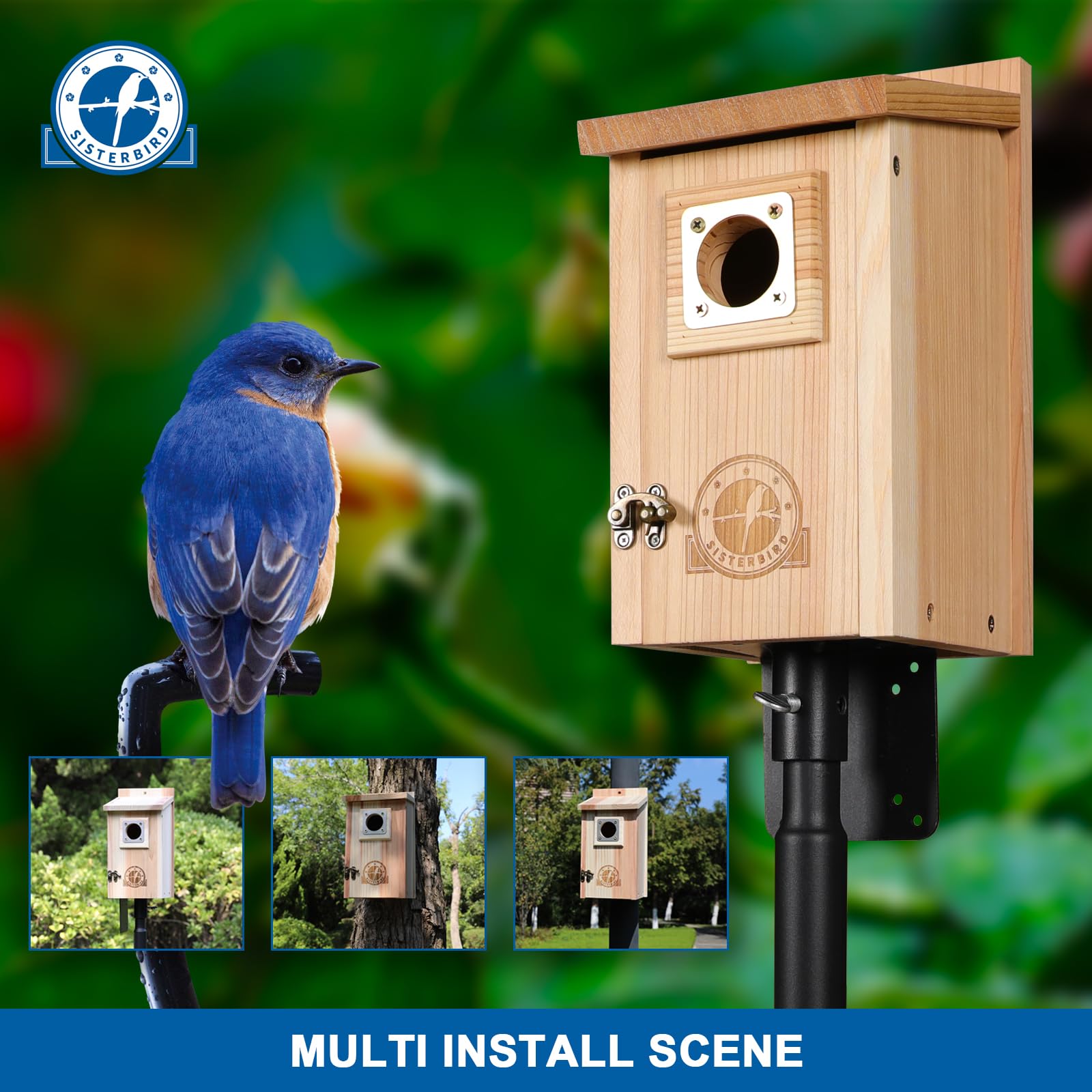 SISTERBIRD Cedar Bird House with Metal Guard, 1-1/2" Entrance Hole, Beige, Outdoor Bluebird Wren Swallow Finch, Assembly Required