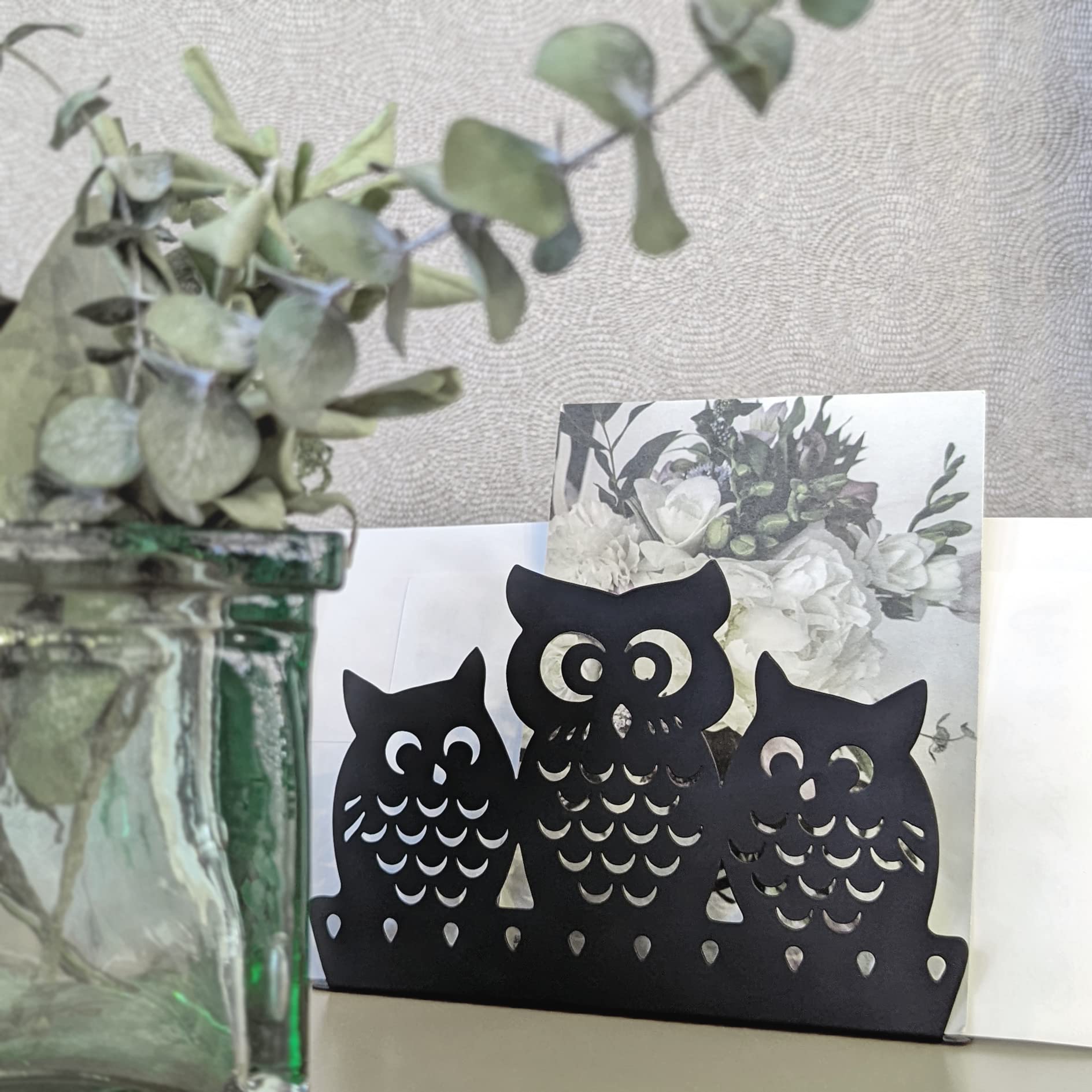 Mango Steam Napkin Holder (Owl  Black)