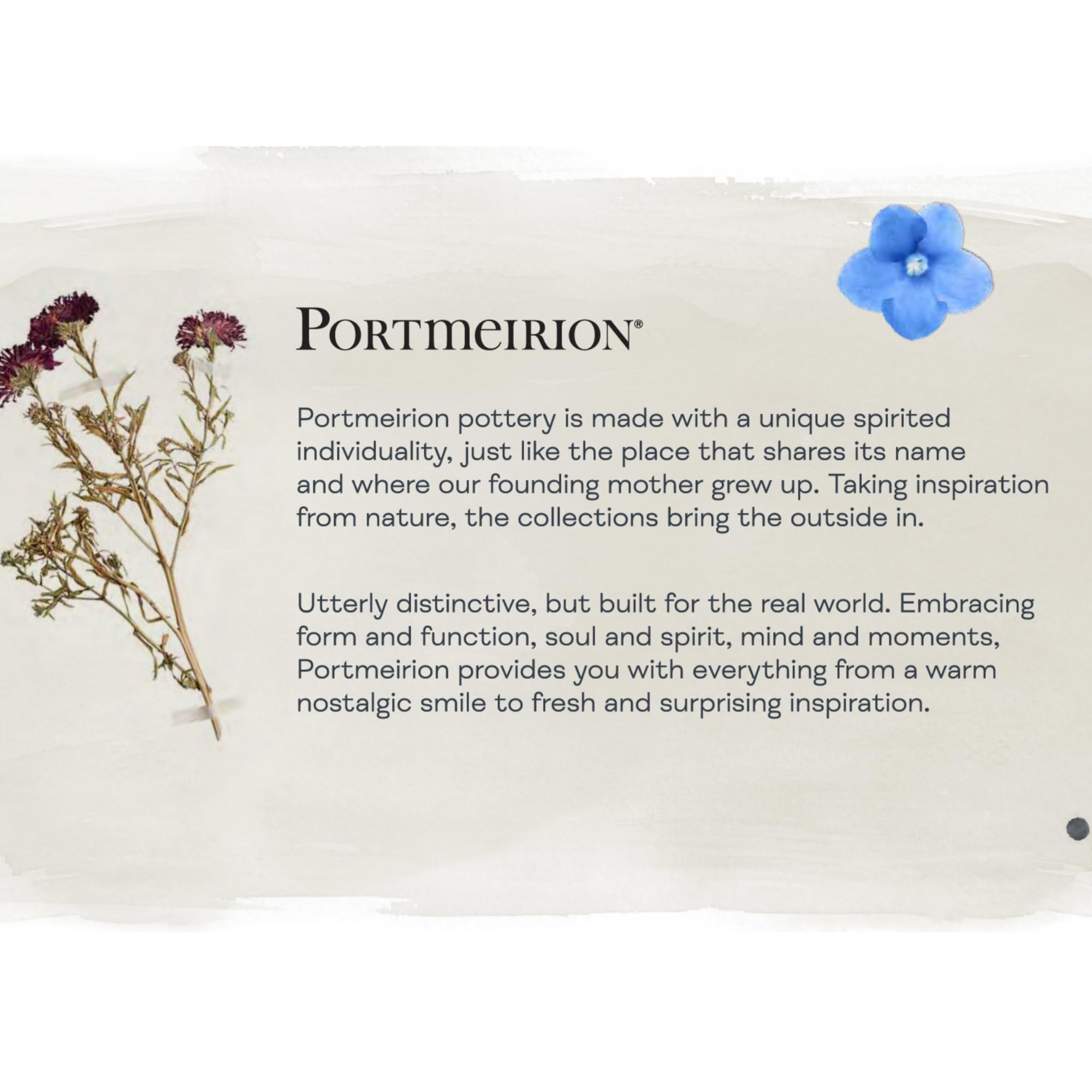Portmeirion Exotic Botanic Garden 10.5-Inch Dinner Plate, Dragonfly - Made In England, Dishwasher & Microwave Safe - Floral Fine