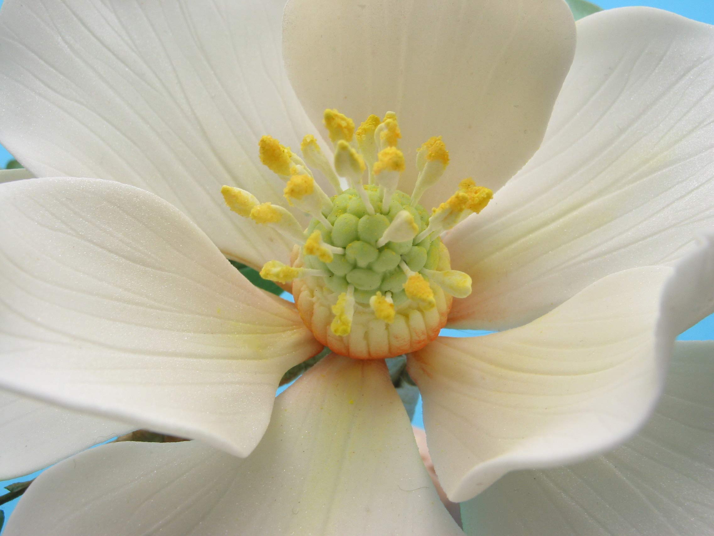 Southern Magnolia Leaf Cutter Set (Set Of 2 Sizes)