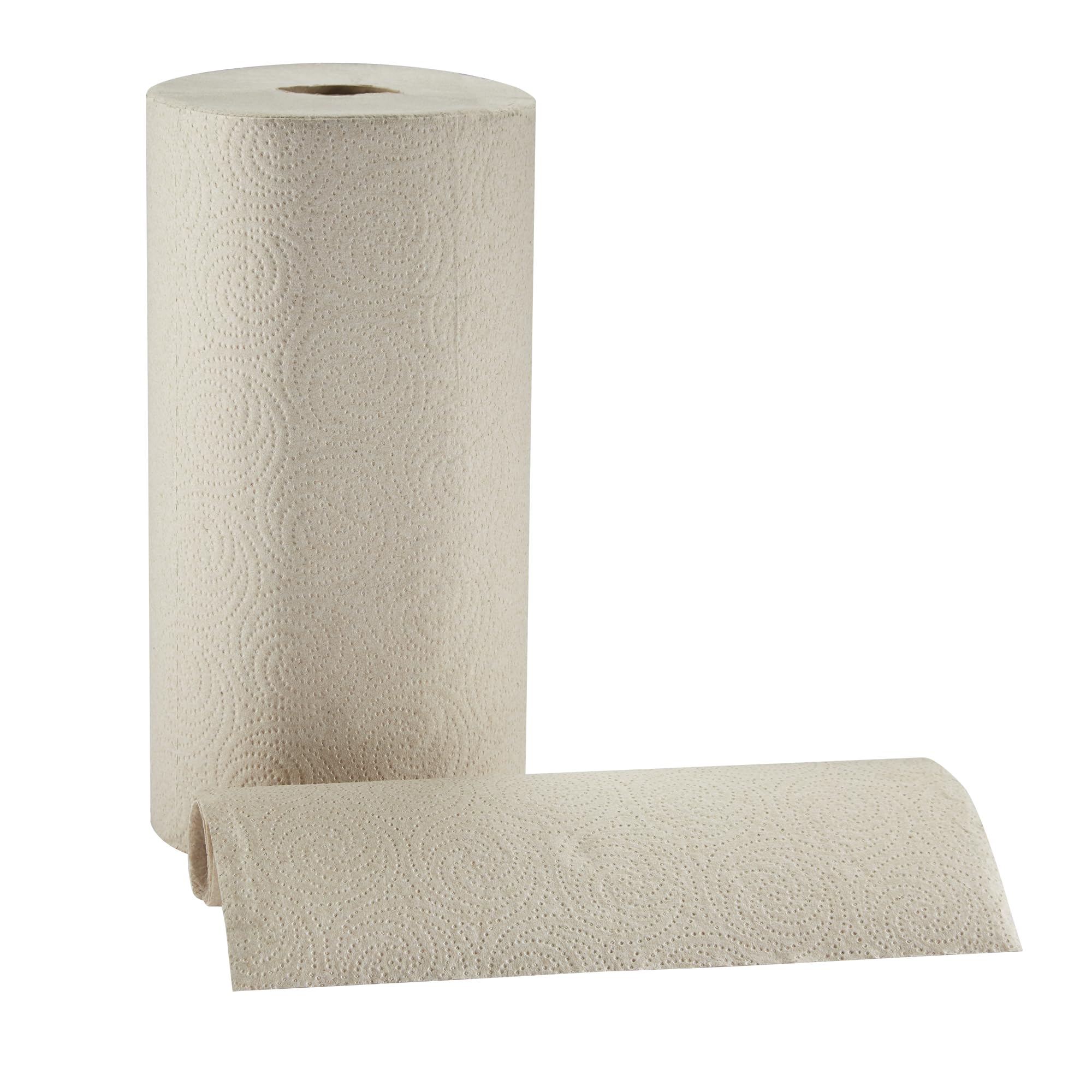 Pacific Blue Basic 2-Ply Recycled Perforated Paper Roll Towel By Gp Pro (Georgia-Pacific), Brown, 28290, 250 Sheets Per Roll, 12