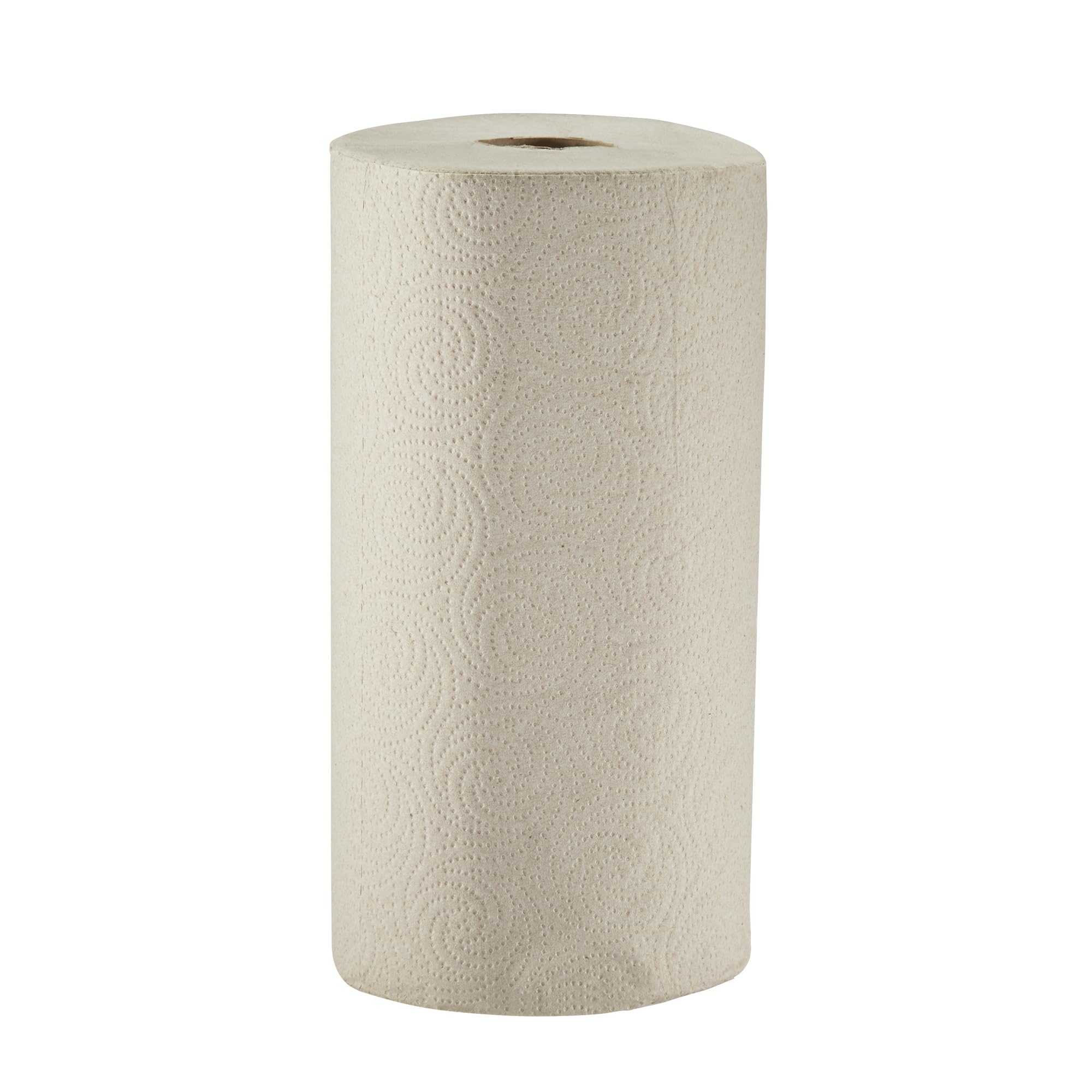 Pacific Blue Basic 2-Ply Recycled Perforated Paper Roll Towel By Gp Pro (Georgia-Pacific), Brown, 28290, 250 Sheets Per Roll, 12