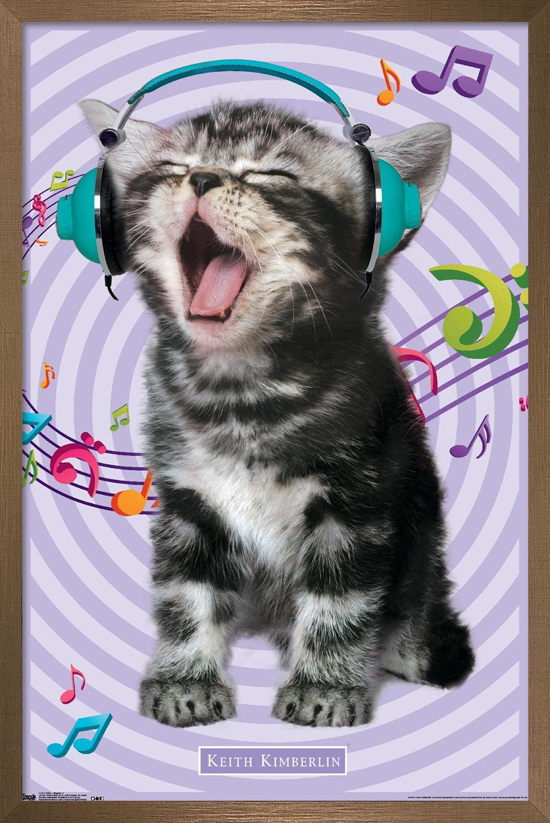 Trends International Keith Kimberlin - Kitten - Singing Wall Poster, 22.375'' X 34'', Bronze Framed Version