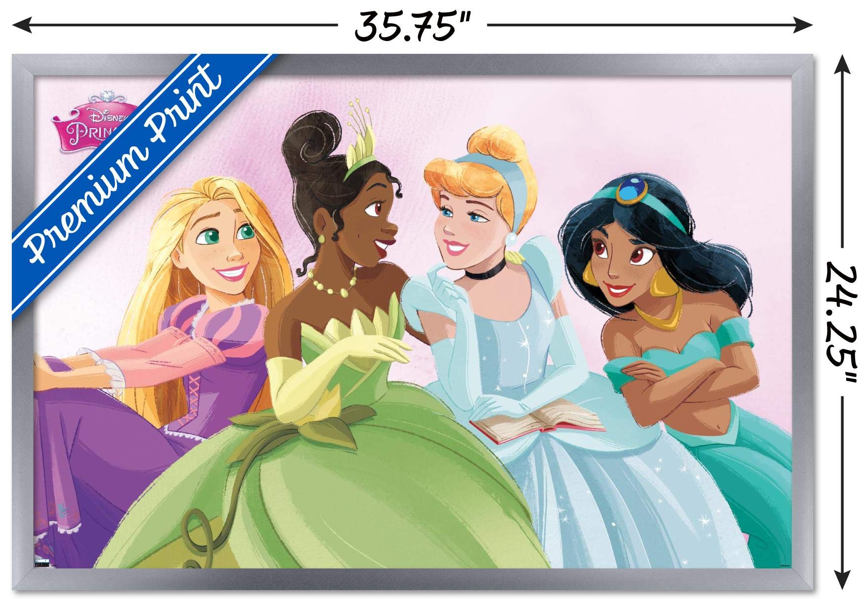 Trends International Disney Ultimate Princess Celebration-Group Wall Poster, 22.375'' X 34'', Silver Framed Version