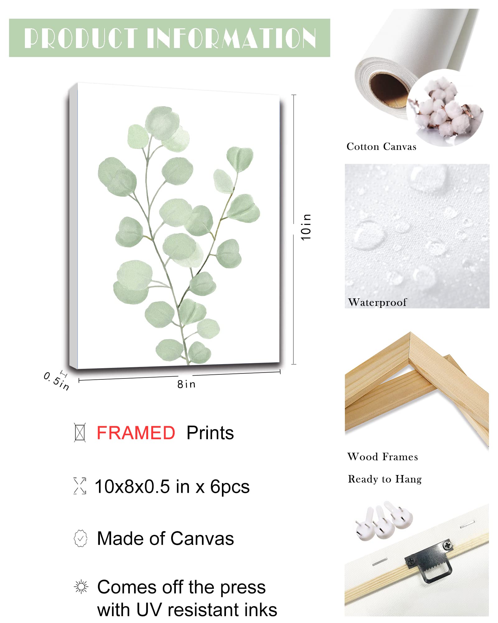 Botanical Eucalyptus Canvas FRAMED Wall Art | Boho Plant Wall Decor for Bedroom | Minimalist Prints for Living Room | Light Green Botanical Art Painting for Bathroom | Eucalyptus Leaf Picture | Set of 6 | 8