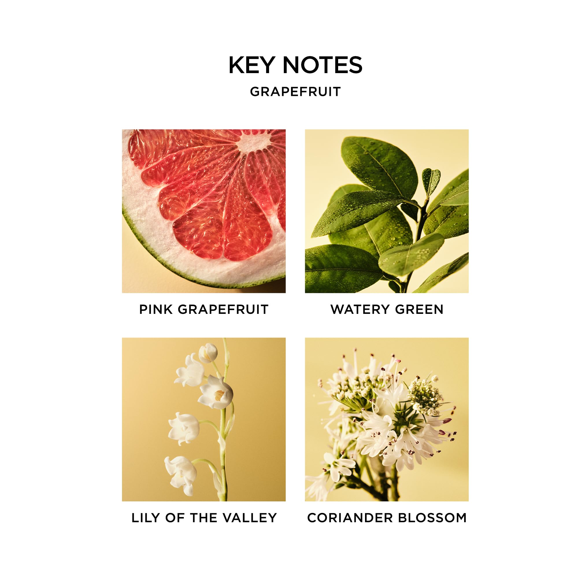 NEST Fragrances Votive Candle- Grapefruit , 2 oz