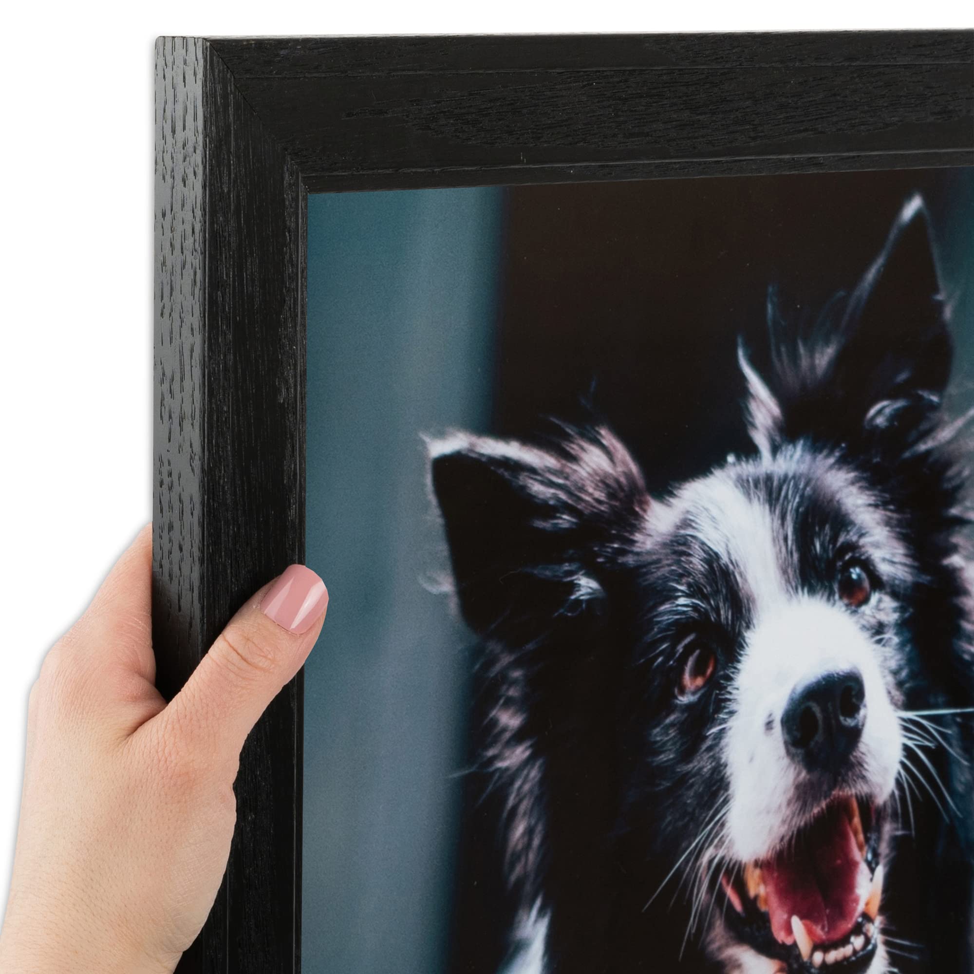 ArtToFrames 8.5x11 Inch Black Picture Frame, This 1.5 Custom Wood Poster Frame is Black Stain on Pine, for Your Art or Photos - 