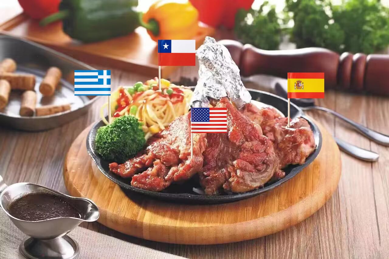 Stidsds 50 Countries Toothpick Flags Mini Small Country National Cupcake Toppers Stick Flag World International Festival Party D