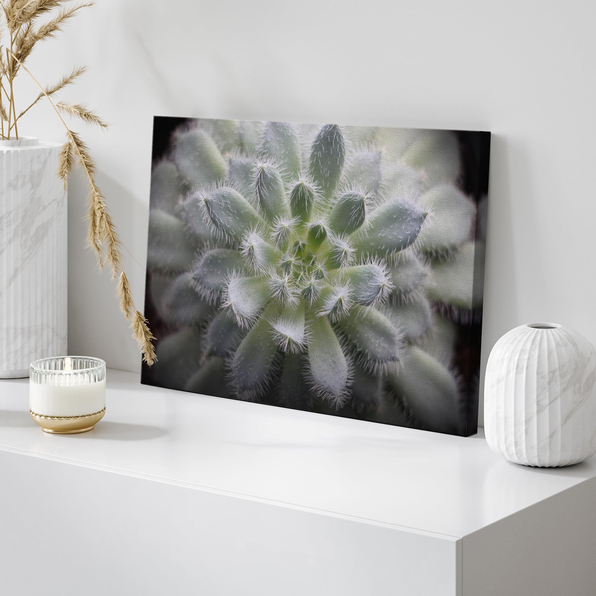 Wall26 Canvas Print Wall Art Fuzzy Echeveria Setosa Desert Succulent Nature Floral Photography Realism Botanical Wilderness Zen