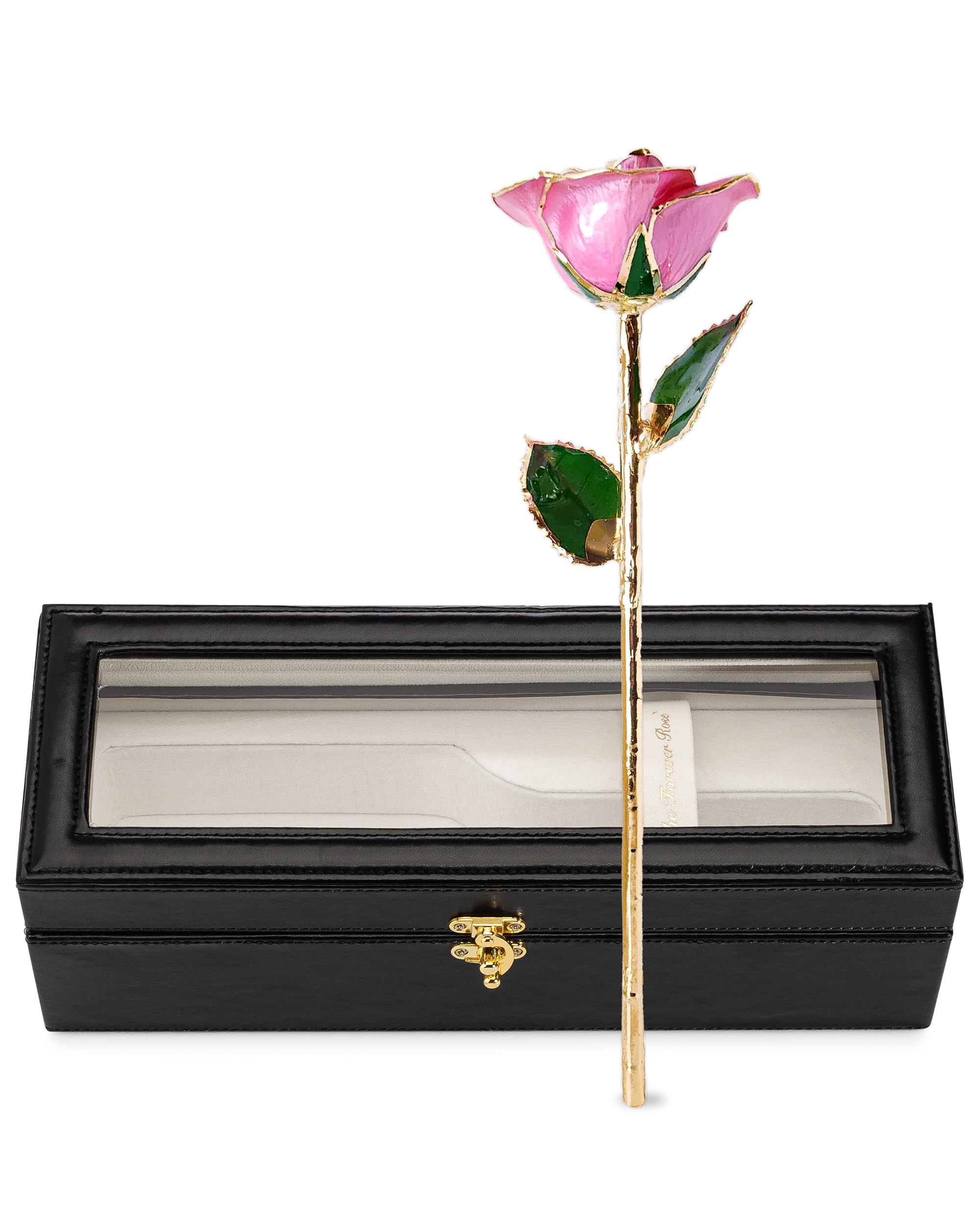 Forever Rose Leather Case Bundle  Genuine  One of a Kind  Real Gold Trimmed Bloomed Pink Rose with Beautiful Leather Case with LED Light