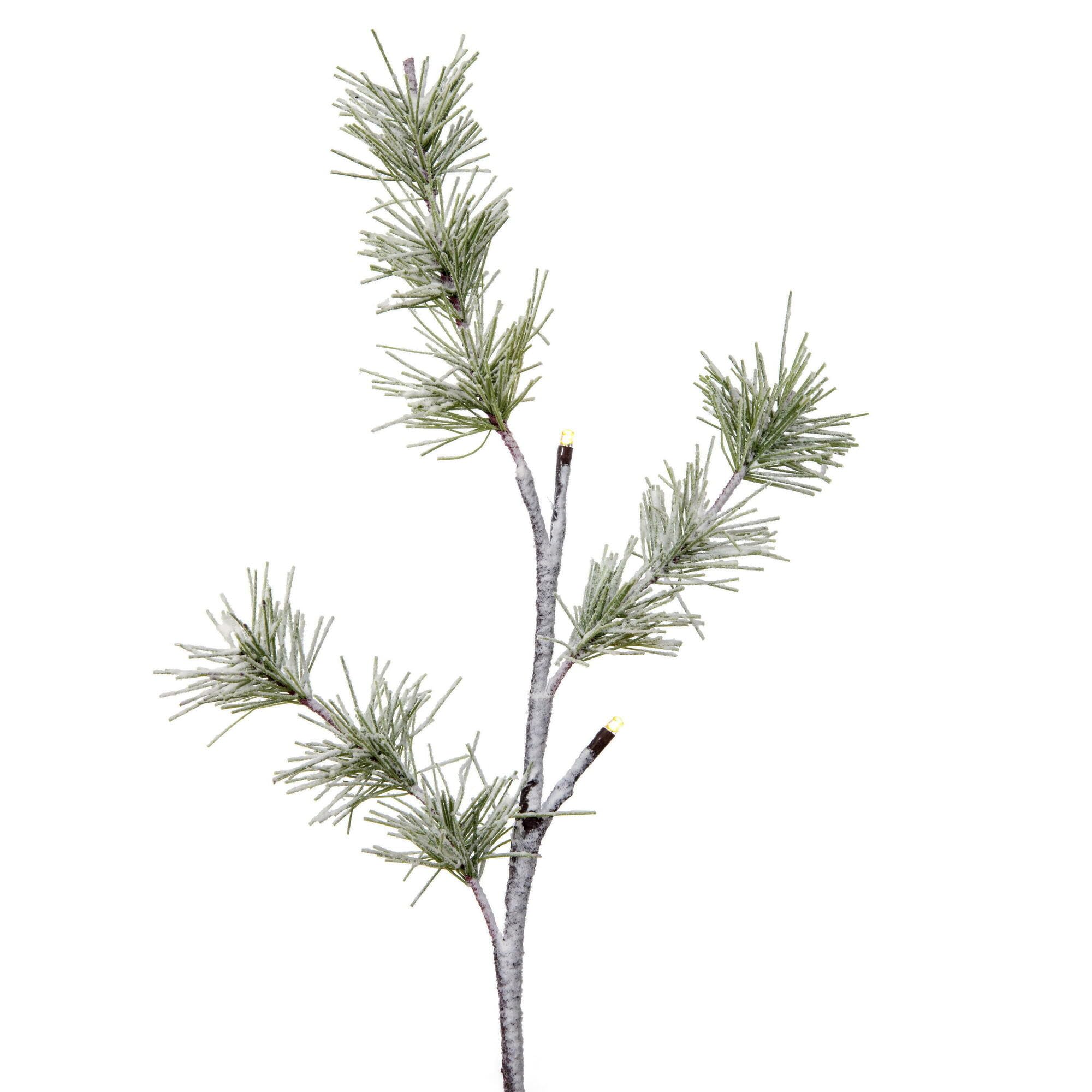 Vickerman 2' Green Frosted Mini Pine Twig Tree, Battery Operated Warm White 3mm Wide Angle LED Lights.