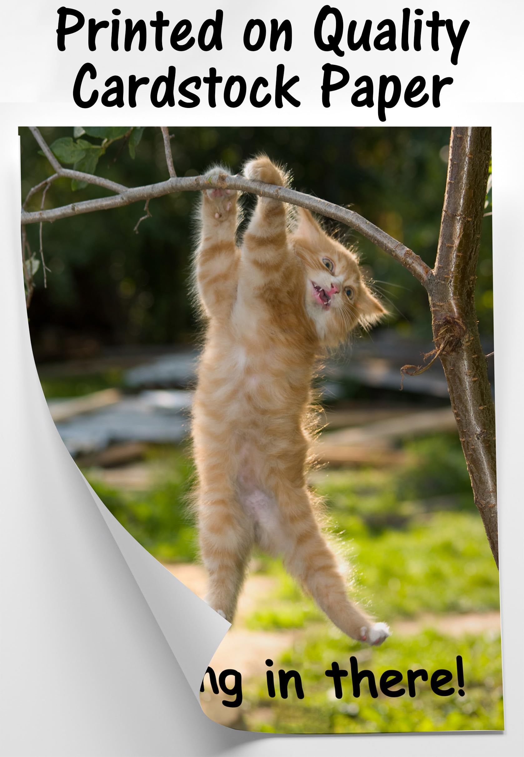 HoneyKICK Hang in There Cat Poster - Funny Motivational Decor - 11 x 14 Inch - Premium Cardstock - Humorous Home or Office Art