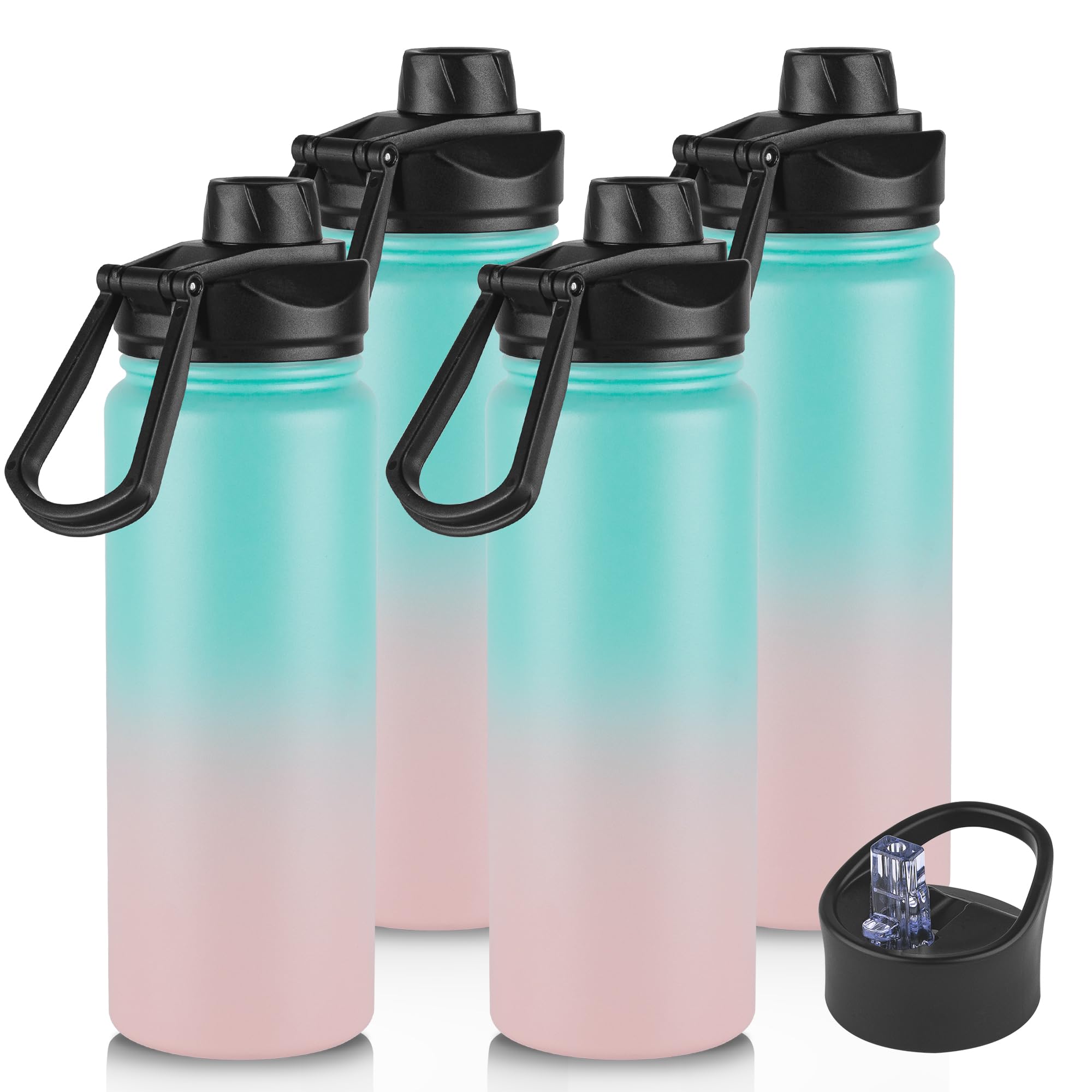 24oz Insulated Water Bottle with Straw Lid, Stainless Steel Metal Water Bottle with Straw & Wide Mouth Lid, Double Wall Vacuum W