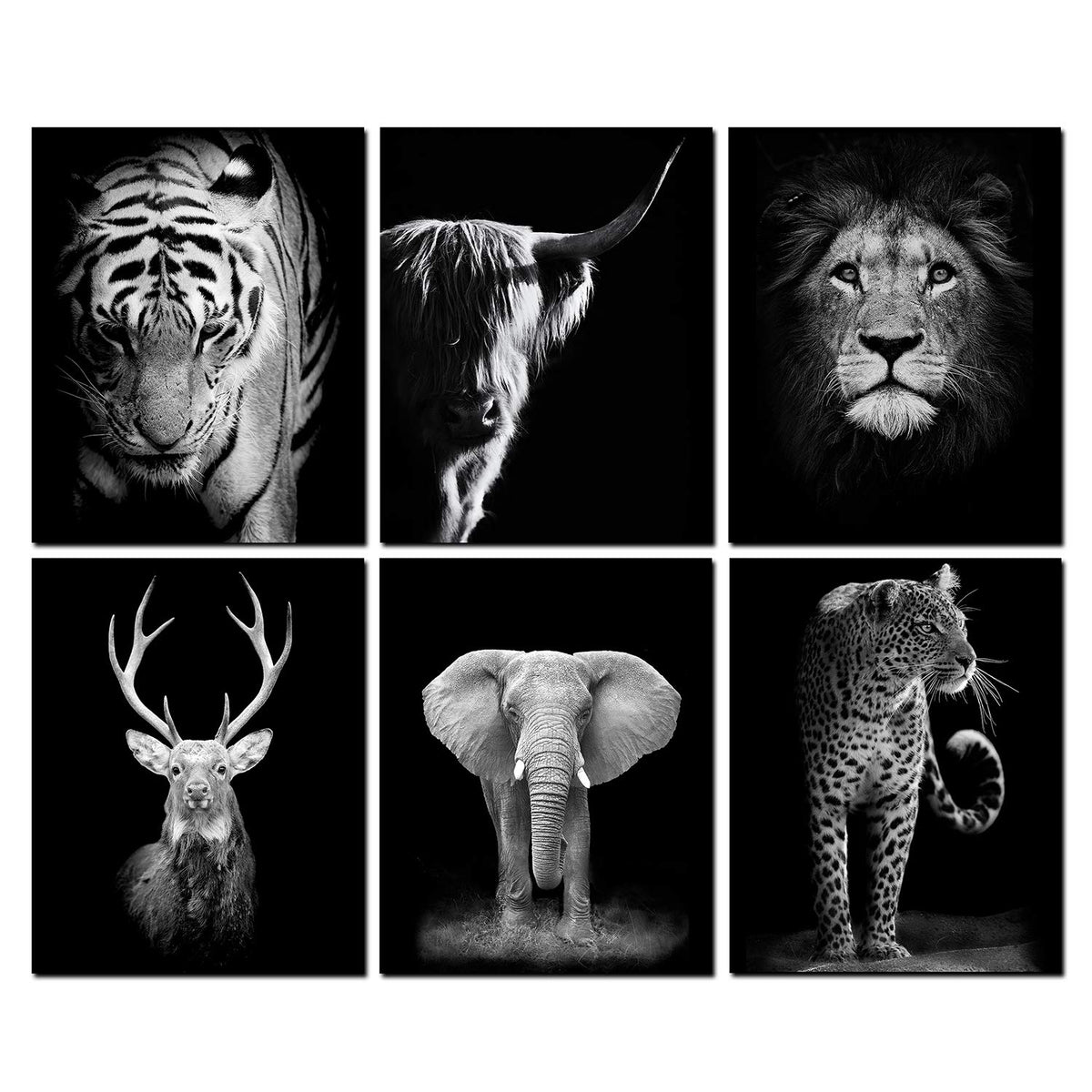 Black And White Animals Wall Art Prints Set Of 6 Animal Pictures Cow Print Decor Elephant Wall Decor Canvas Animal Wall Art Post