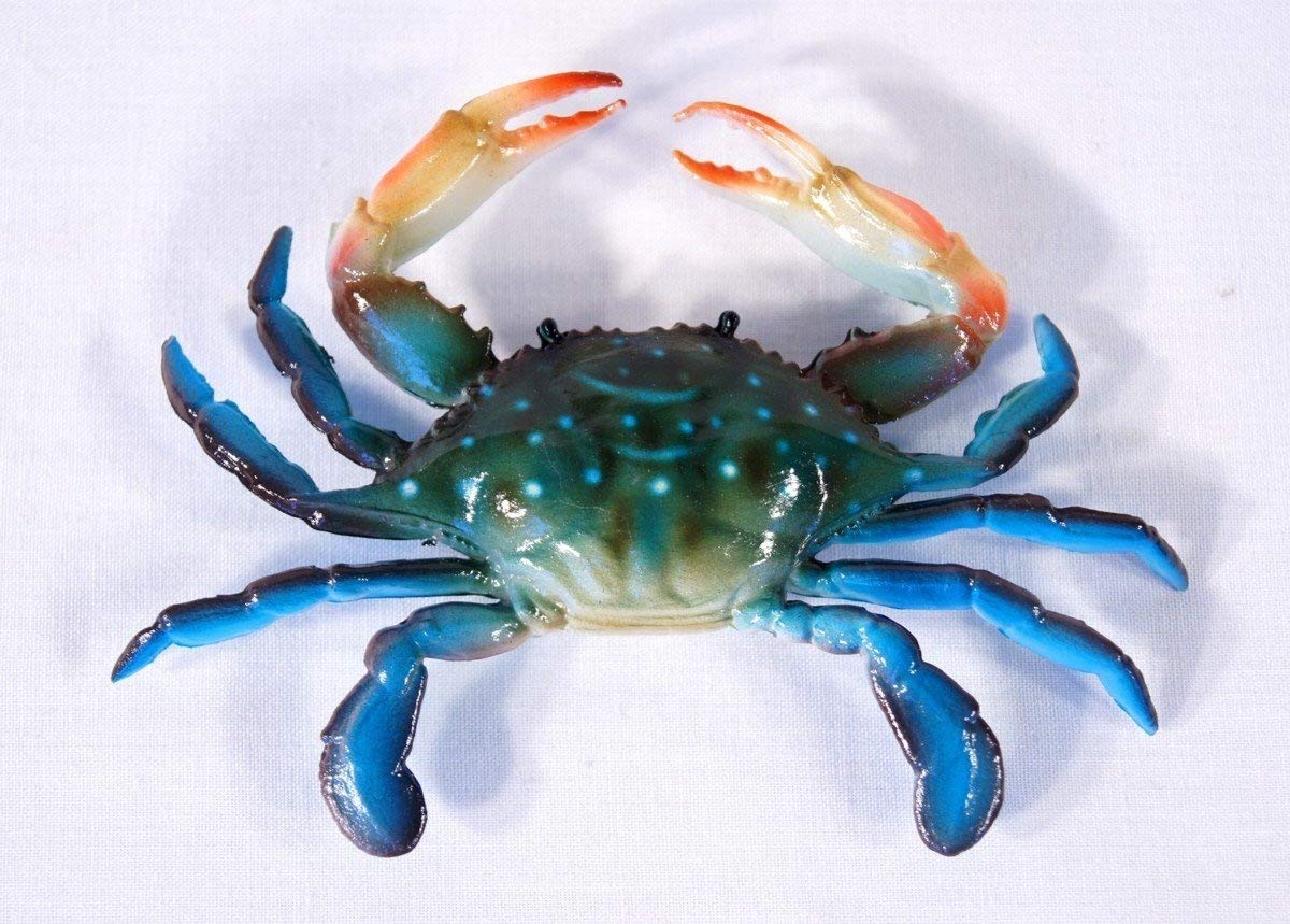 Handpainted Blue Crab Magnet