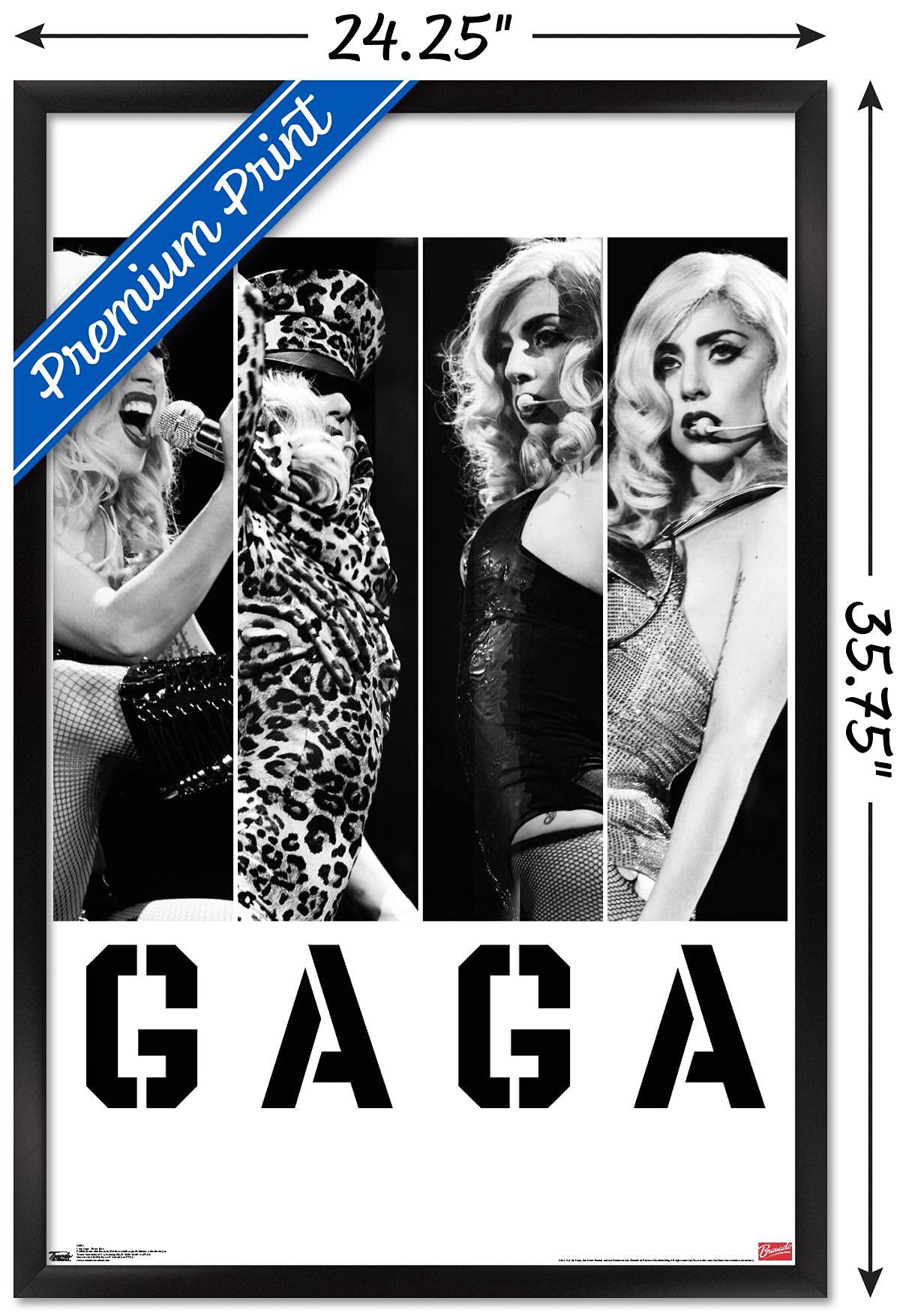 Trends International Lady Gaga - Photo Bars Wall Poster, 22.375'' X 34'', Black Framed Version