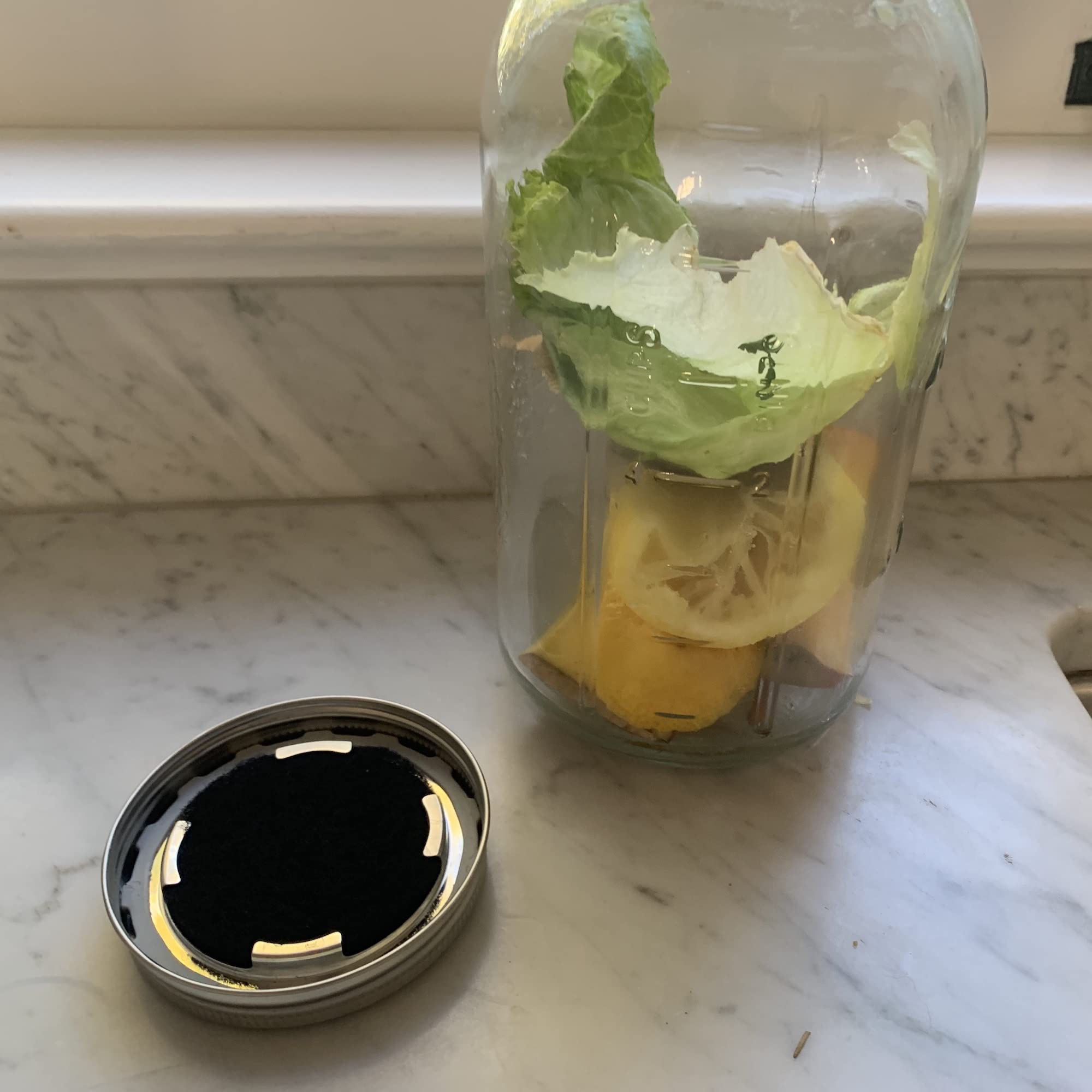 Jarware Mason Jar Lid, Stainless Steel Compost Lid For Wide Mouth Mason Jars, With 4 Charcoal Filters