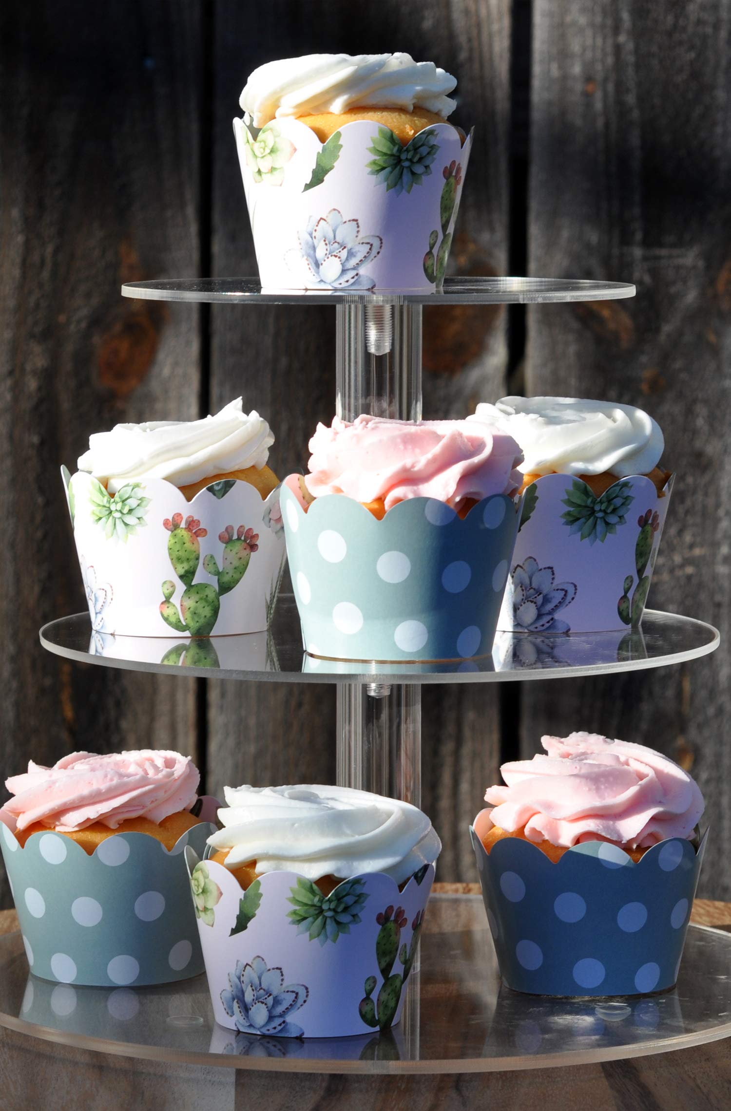 Cactus And Succulent Cupcake Wrappers For Kids Birthday Parties, Baby Showers, Bridal Showers, And Weddings. Set Of 24 Reversibl