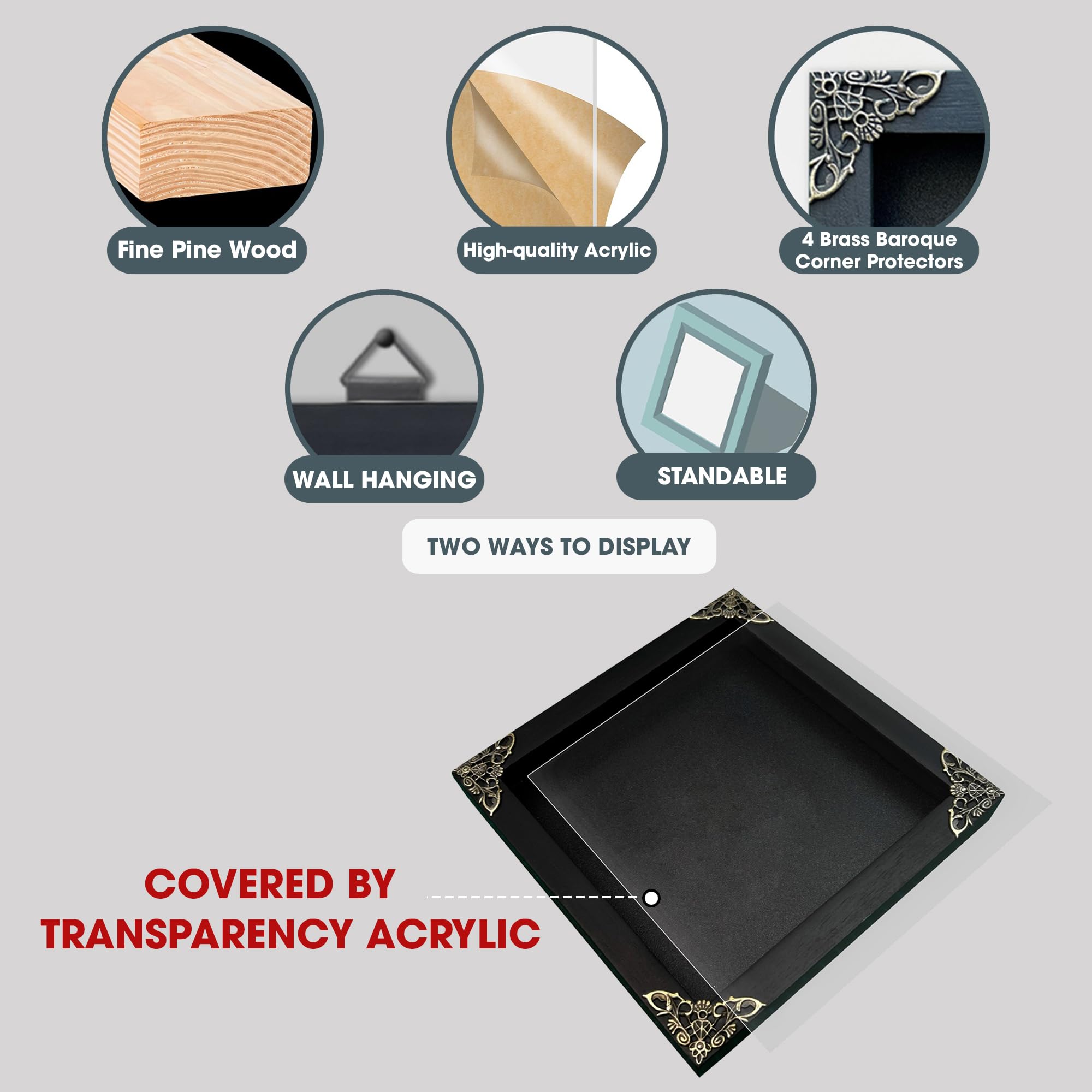 Real Framed Green Beetle Dead Insect Dried Bug Black Frame Shadow Box Taxidermy Oddity Collectables Specimen Decoration Reading