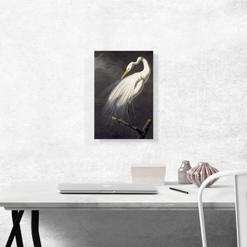 Artcanvas Great Egret Canvas Art Print Stretched Framed Painting Picture Poster Giclee Wall Decor By John James Audubon - 18'' X