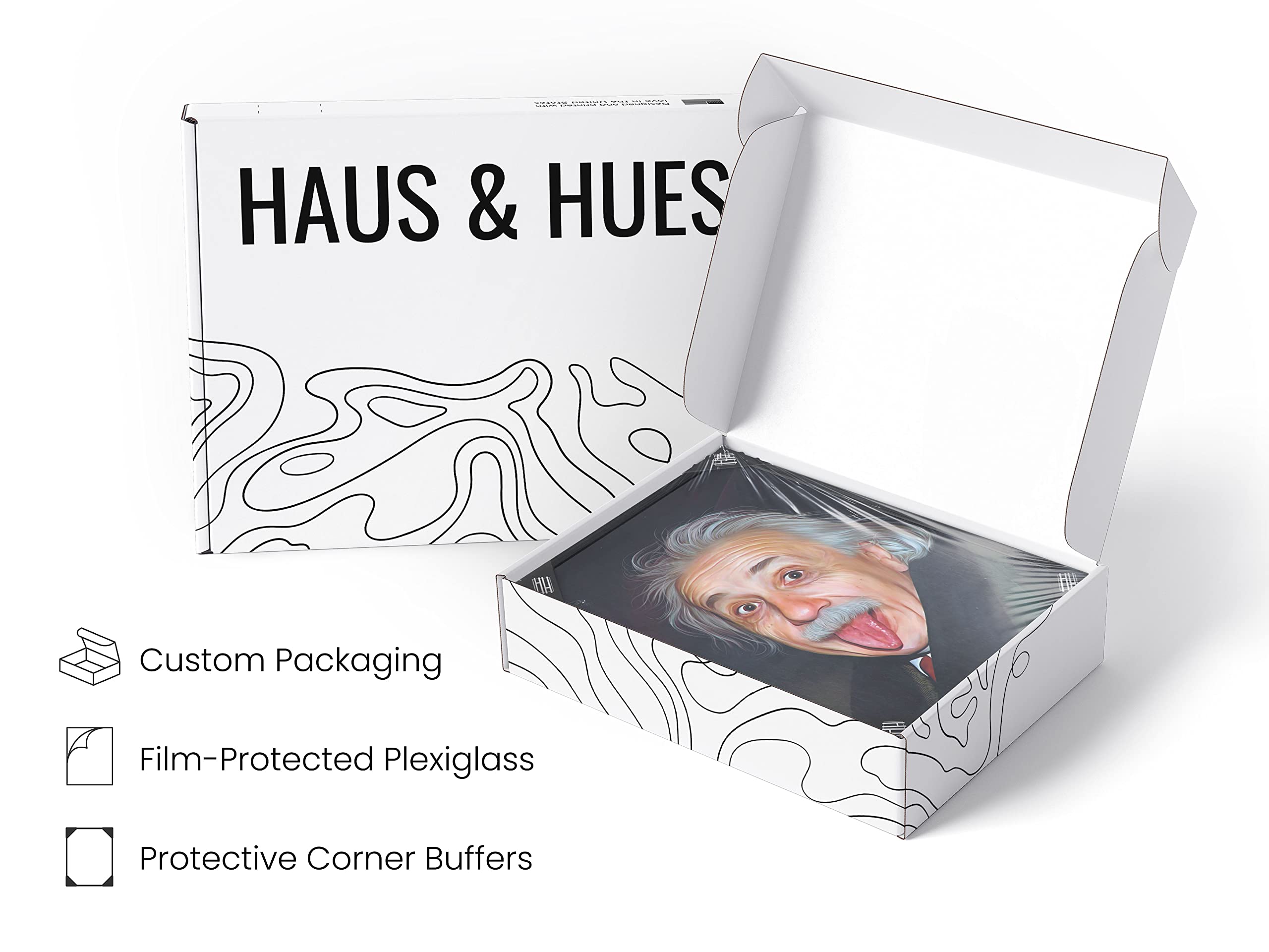 Haus And Hues Meme Poster For Teens - Albert Einstein Poster, Funny Wall Decor, Albert Einstein Portrait, Wall Art Einstein, Sci