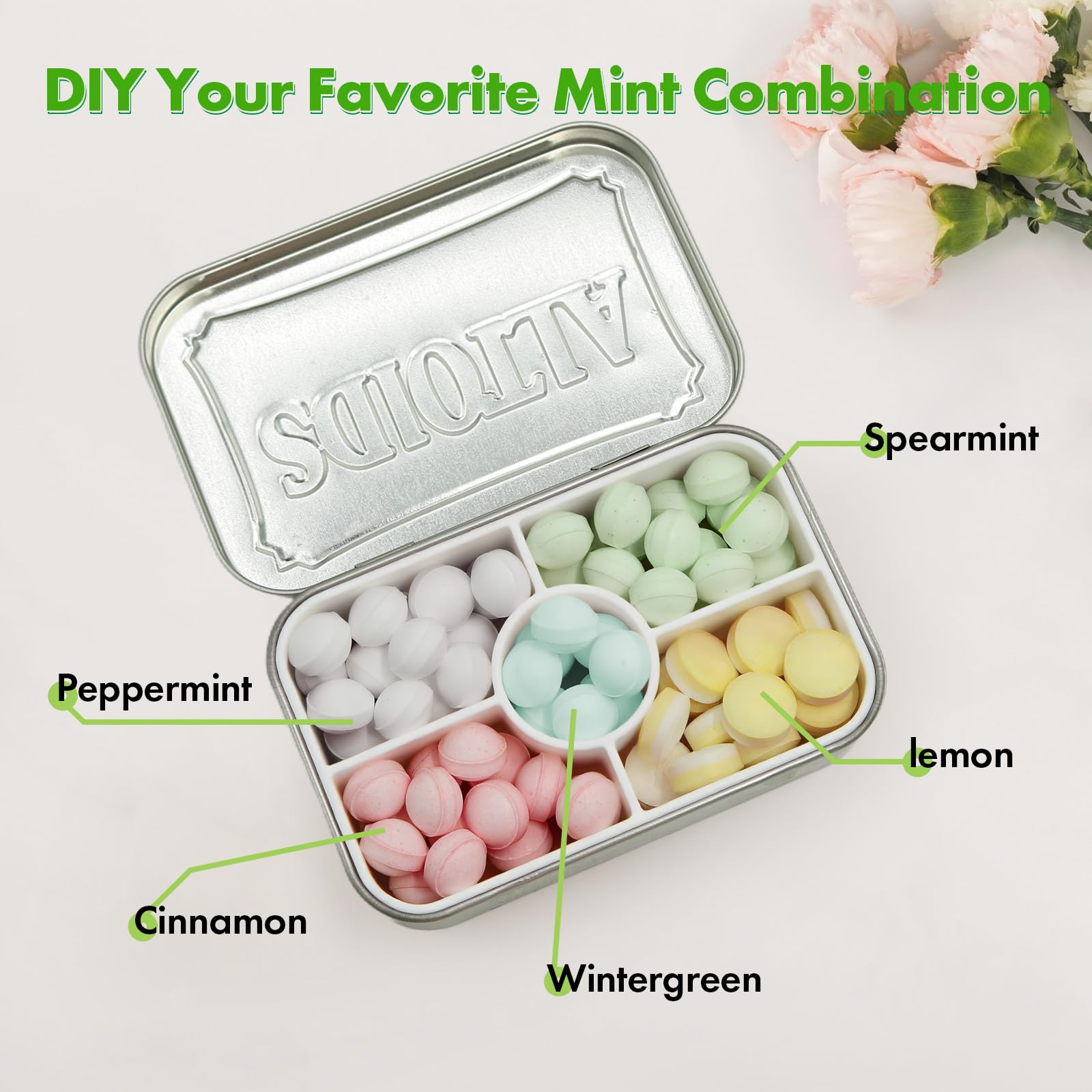 Wzporzst Hard Plastic Organizer Insert Compatible with Altoids 1.76oz Mint Tins, Sturdy Compartment Storage Box for Personal Sto