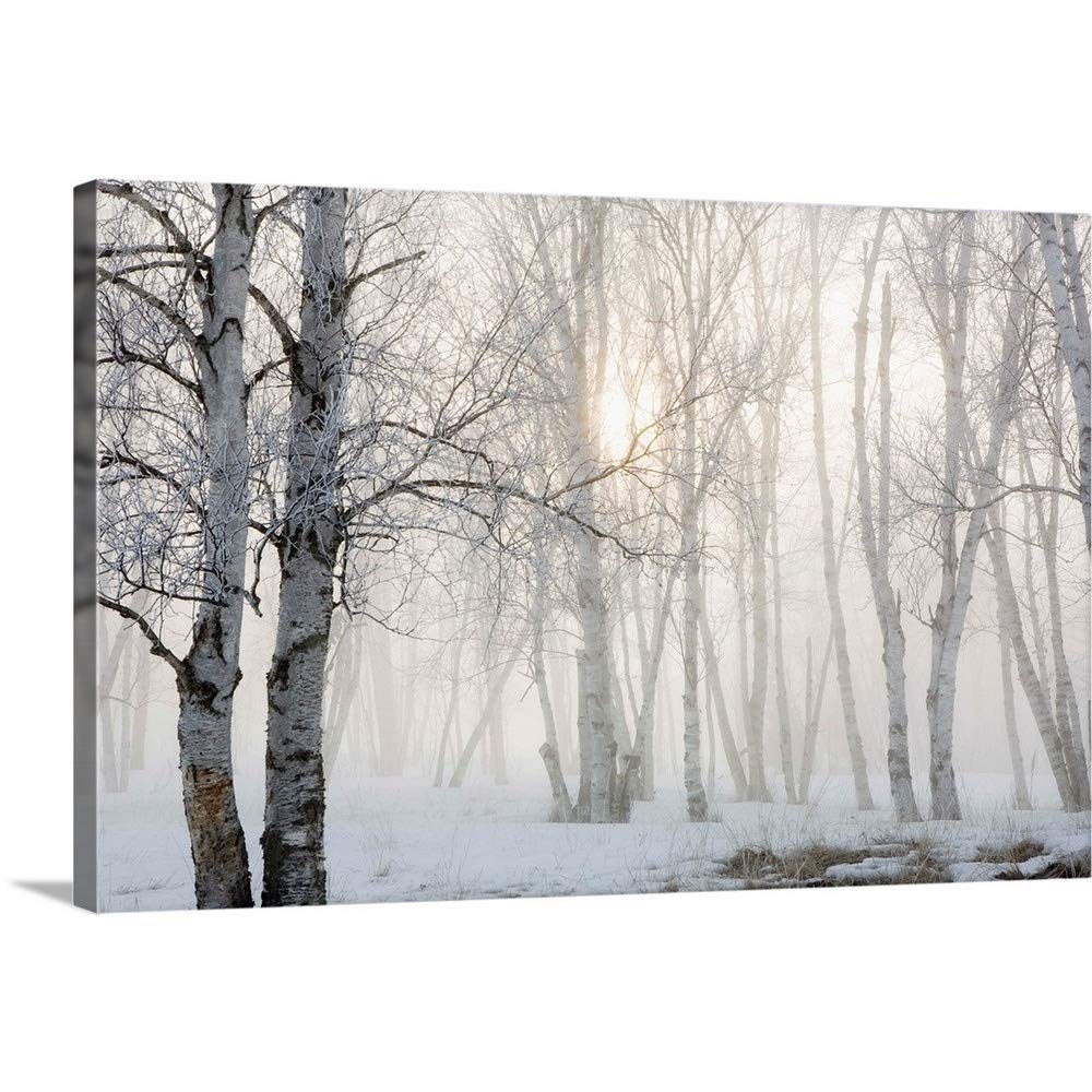 Canvas On Demand Ontario, Canada, Birch Trees In The Fog Canvas Wall Art Print By Susan Dykstra, Home Decor, Winter Artwork, 30'