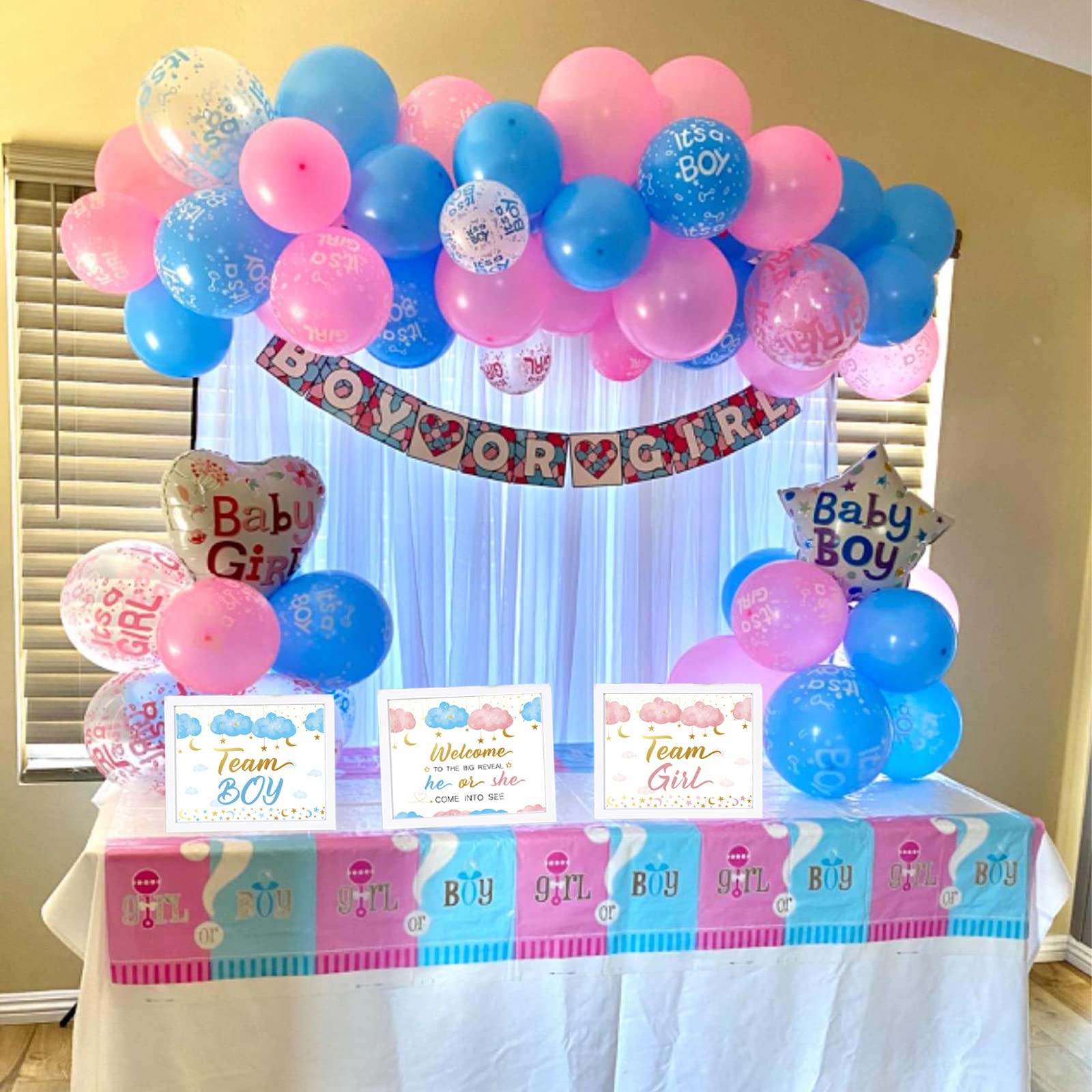 Twinkle Twinkle Little Star Baby Gender Reveal Party Supplies Kit,Photo Props Games Decorations,He Or She,Includes 3 Game Poster