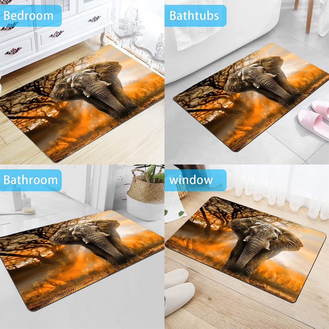 Ohtmtho 17''X24'' Bathroom Rugs Non Slip Washable Bath Mat Small Door Floor Mat Printed With African Elephant Orange