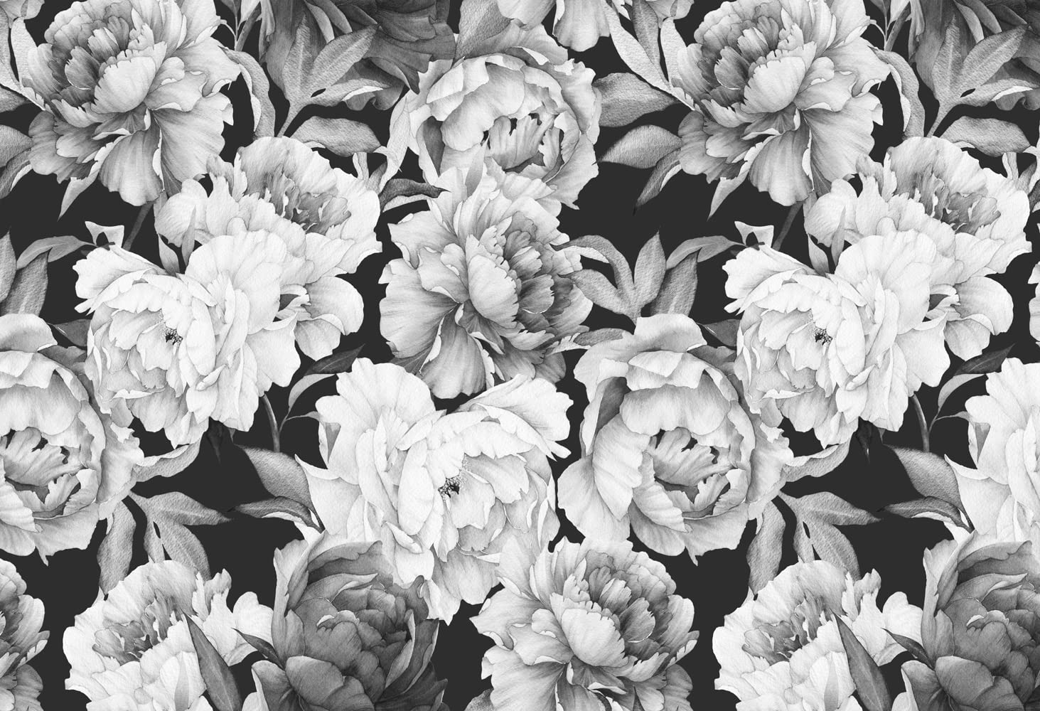 Mfwfm Black And White Peonies Wallpaper Watercolor Floral Mural Wallpaper For Bedroom Living Room (Not Peel N' Stick)