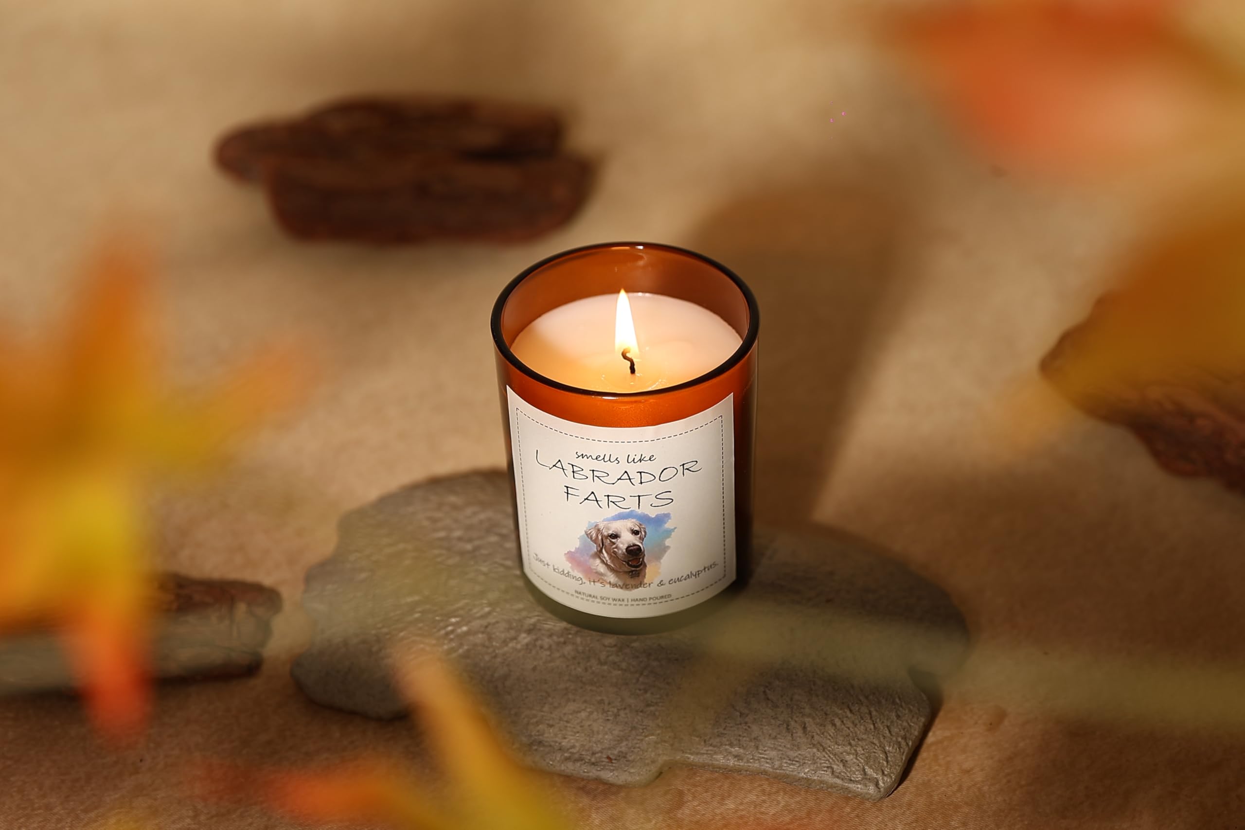 Labrador Gifts & Decor, Labrador Retriever Gifts, Dog Mom Gift for Women, Smells Like Labrador Farts Candle - Lavender & Eucalyp