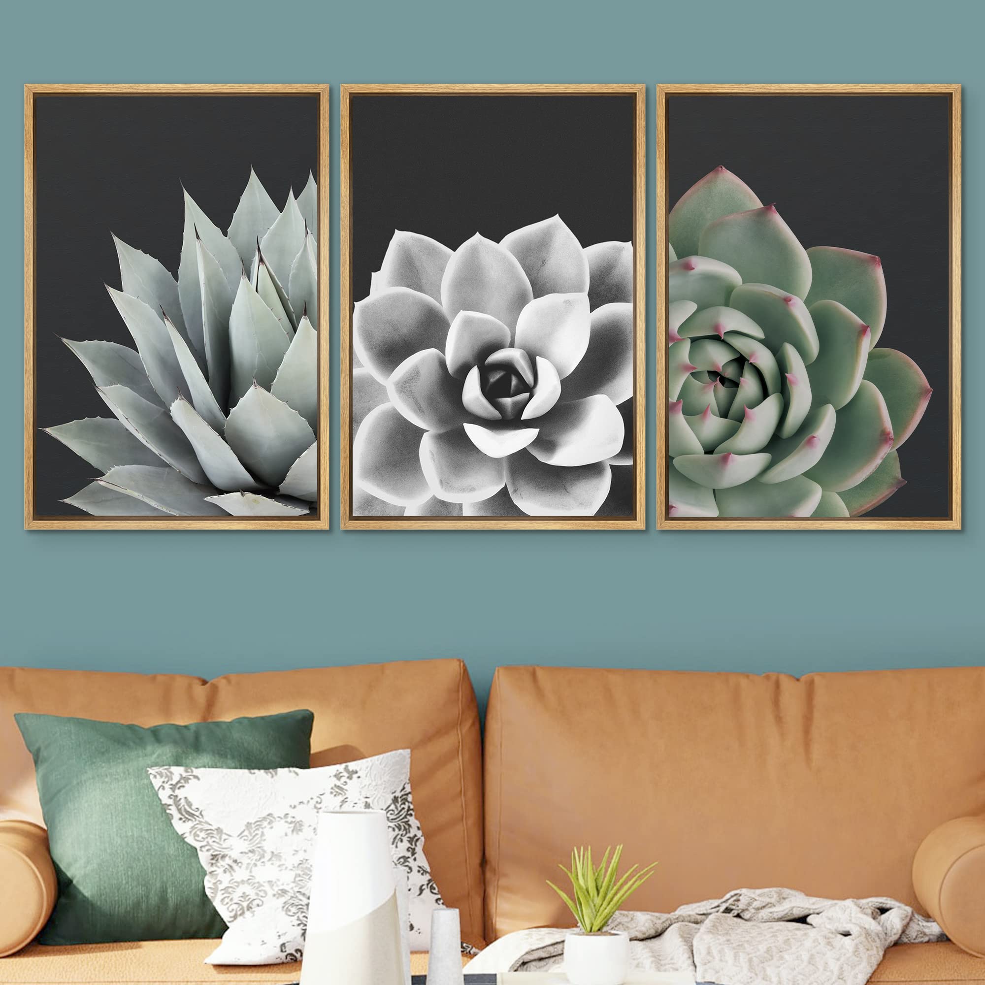 Signwin Framed Wall Art Print Set Desert Rose Echeveria Succulent Set Nature Plants Photography Modern Art Closeup Relax/Calm Da