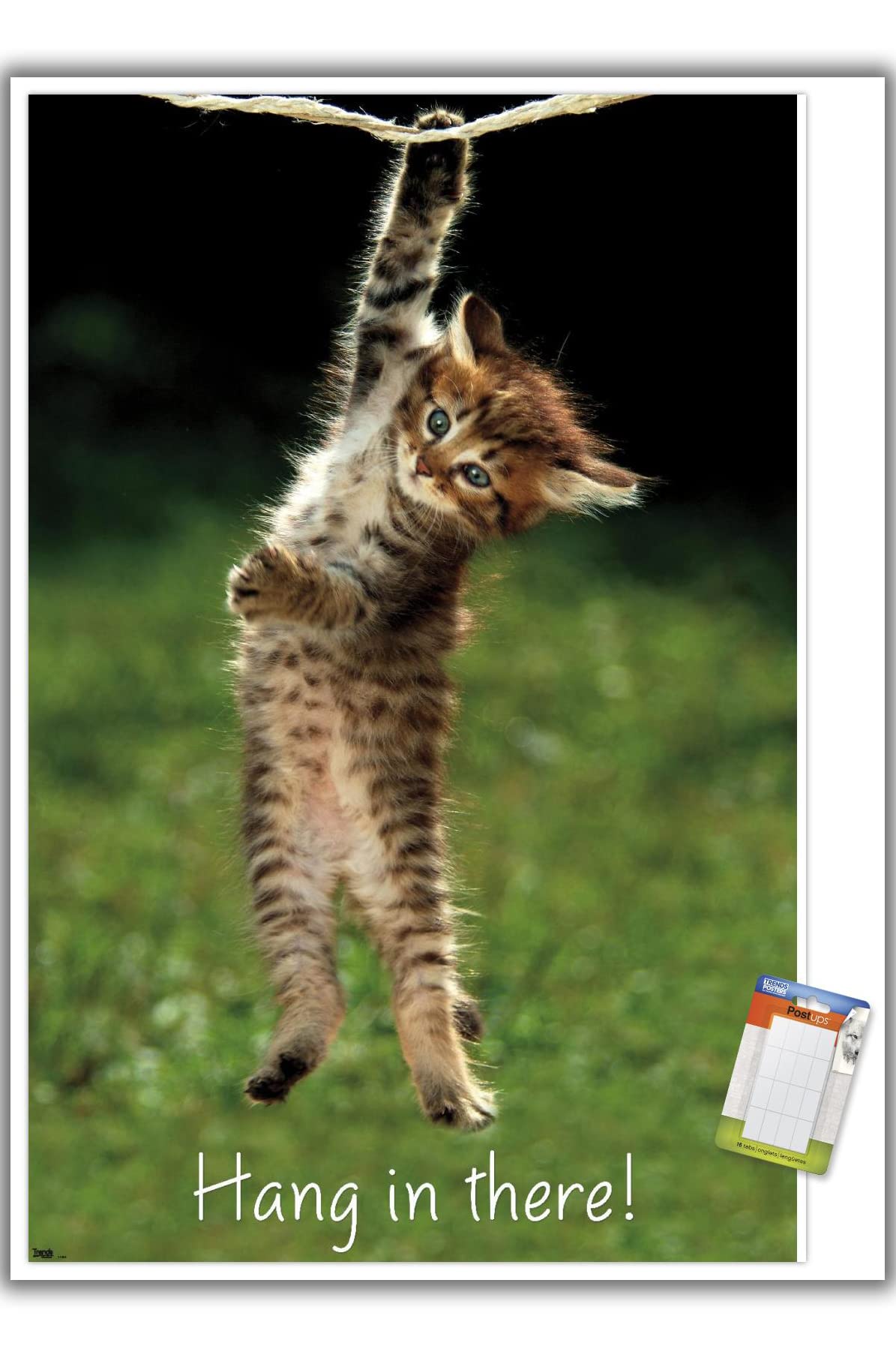 Trends International Famous Kitten Hang In There Poster Wall Poster, 22.37'' X 34.00'', Premium Poster & Mount Bundle