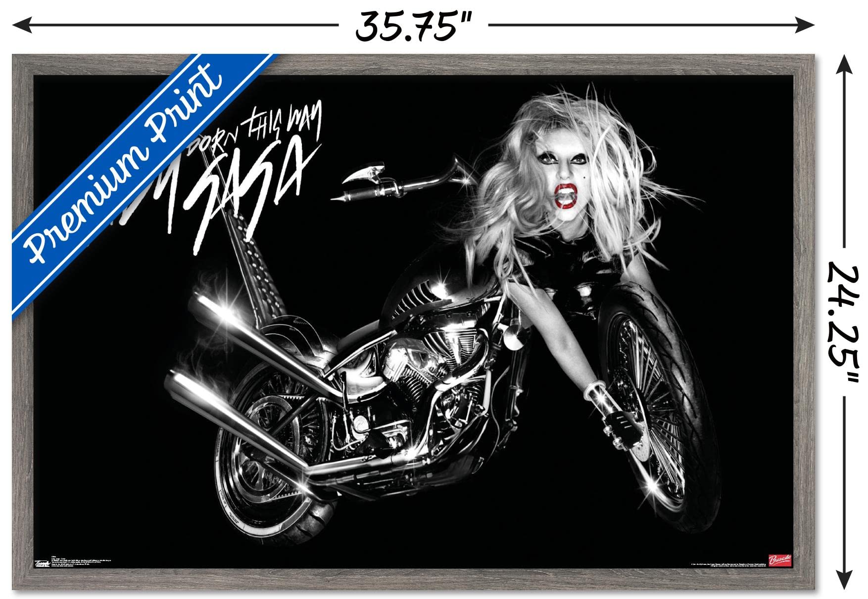 Trends International Lady Gaga - Cover Wall Poster, 22.375'' X 34'', Barnwood Framed Version
