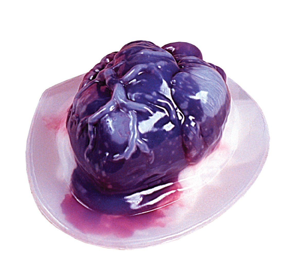 Fun World Heart Jello Mold Halloween Decoration - Make Your Own Gelatin Hearts - Terrify Your Friends, Kids and Halloween Party 