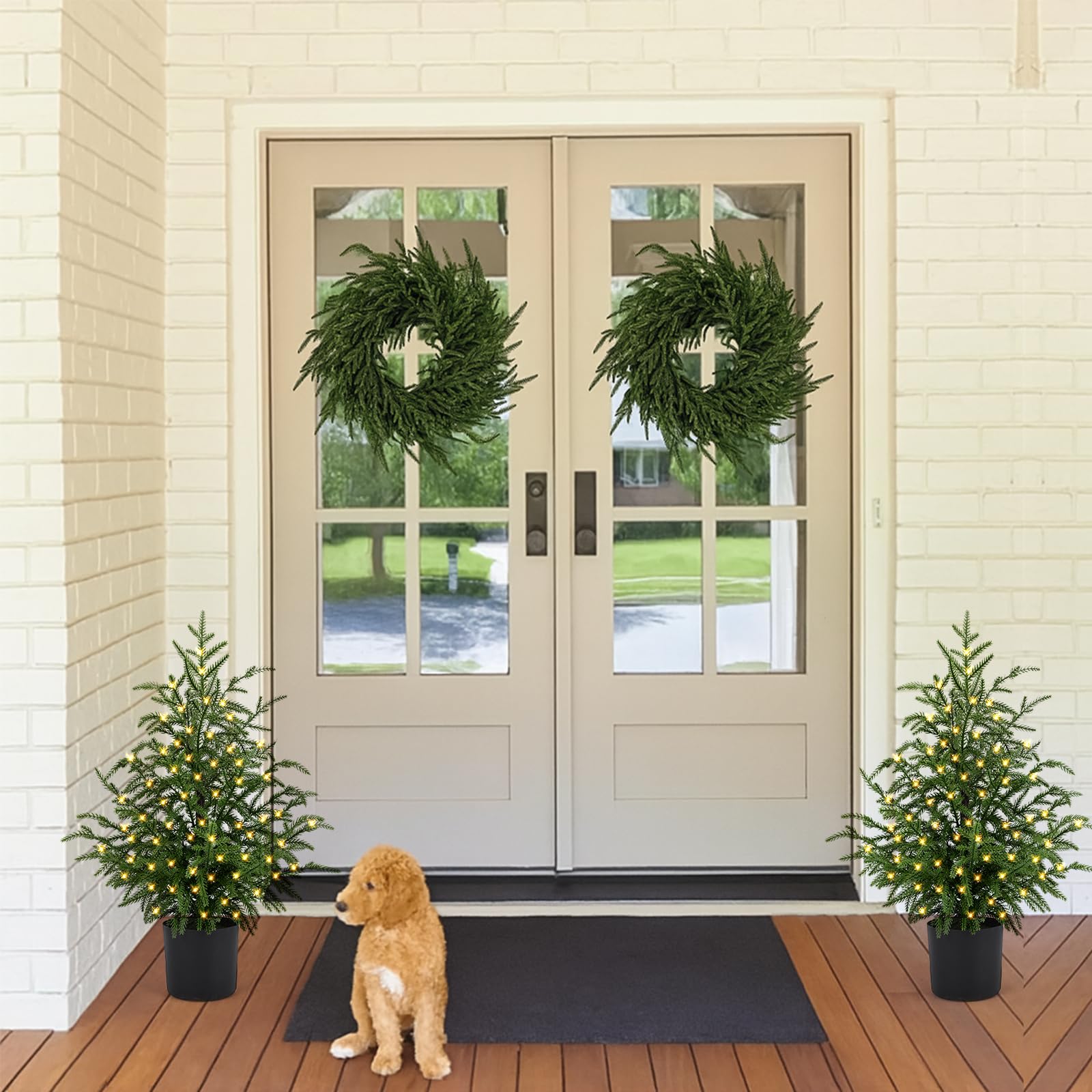 ENVEN 2FT Pre-Lit Artificial Norfolk Pine Christmas Tree - Tabletop Faux Tree with 50 LED Lights & 8-Function Battery Box, Pre-A