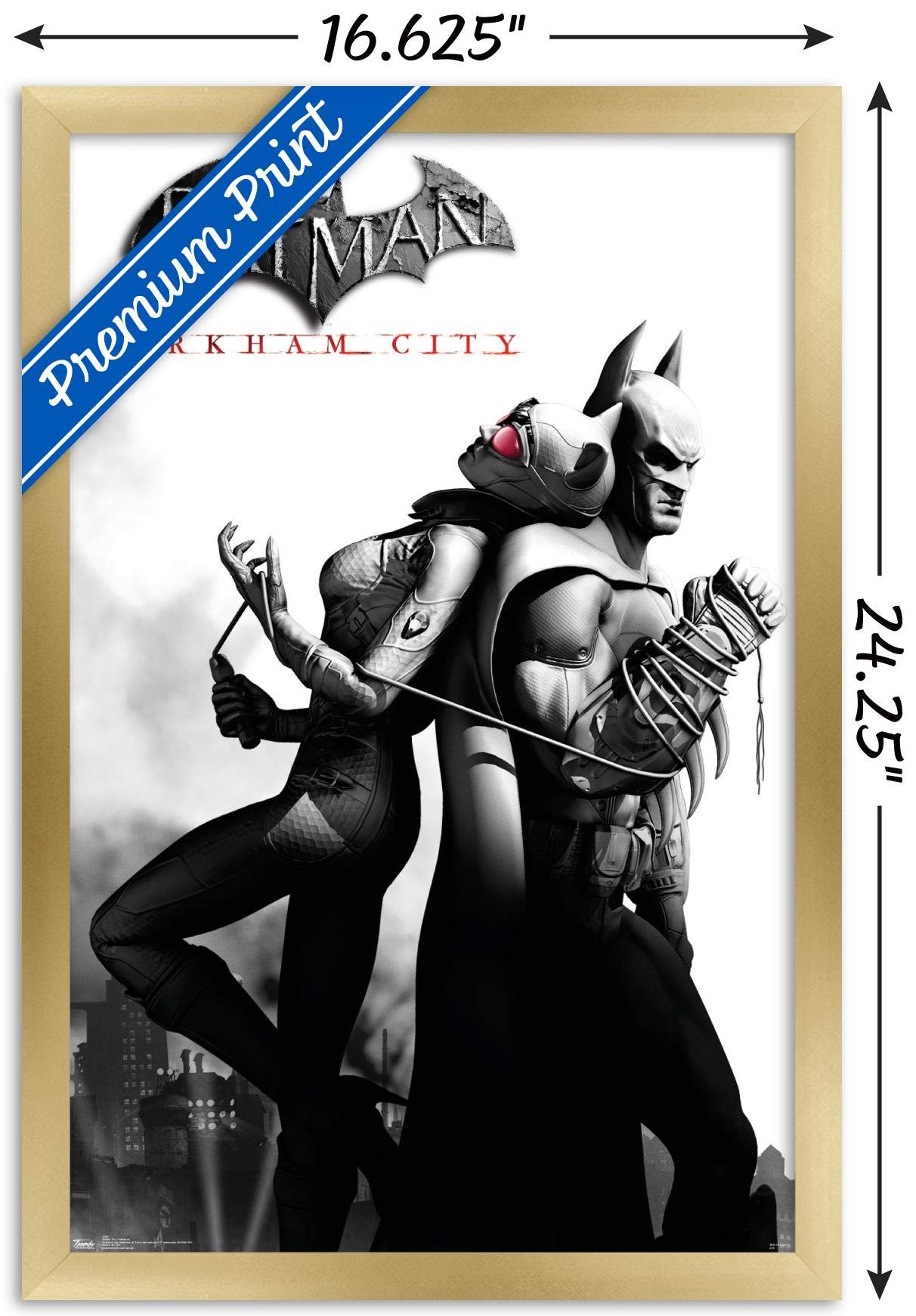 Trends International Dc Comics Video Game - Arkham City - Catwoman Wall Poster, 14.725'' X 22.375'', Gold Framed Version