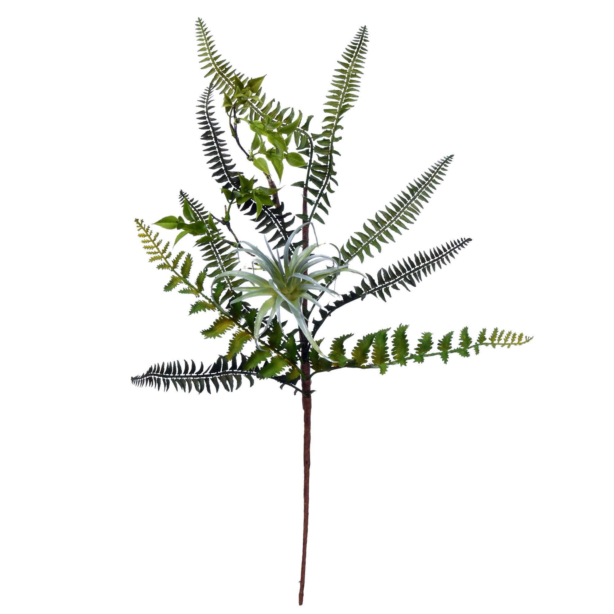 Vickerman 20'' Green Fern Pick Pk/2 - FT190220