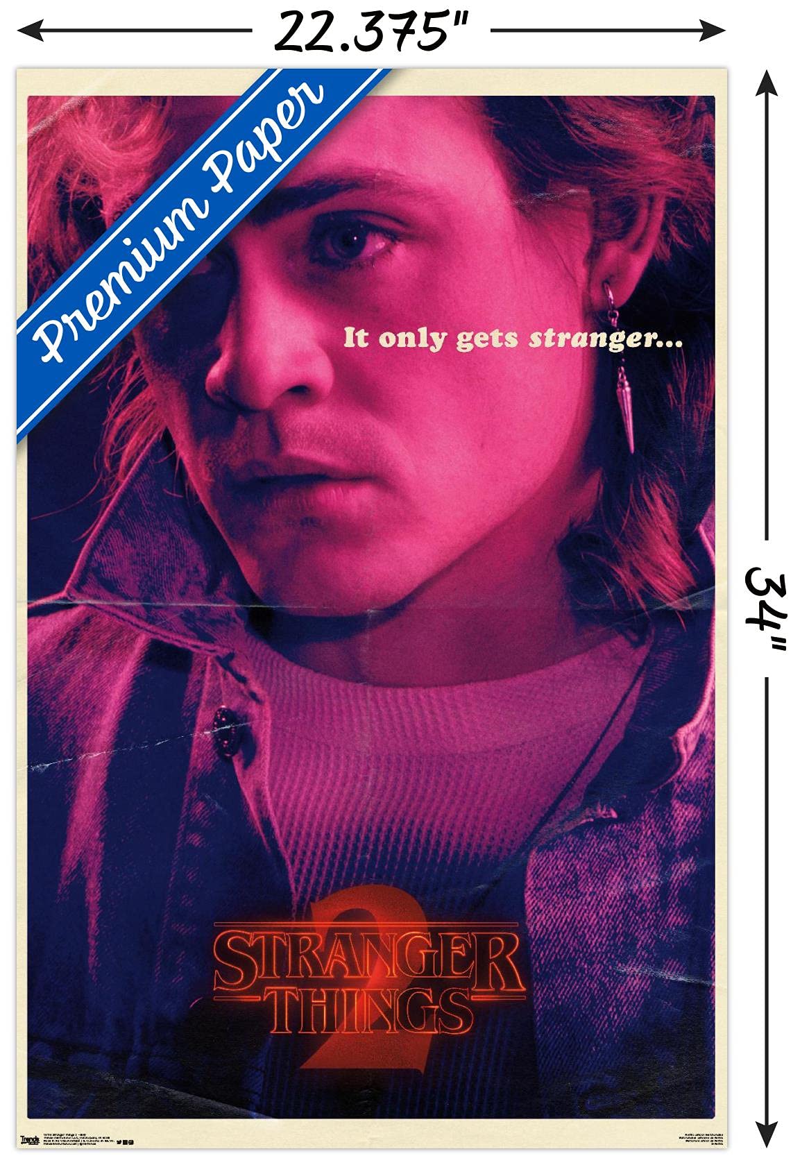 Trends International Netflix Stranger Things: Season 2 - Billy Wall Poster, 22.375'' X 34'', Premium Unframed Version