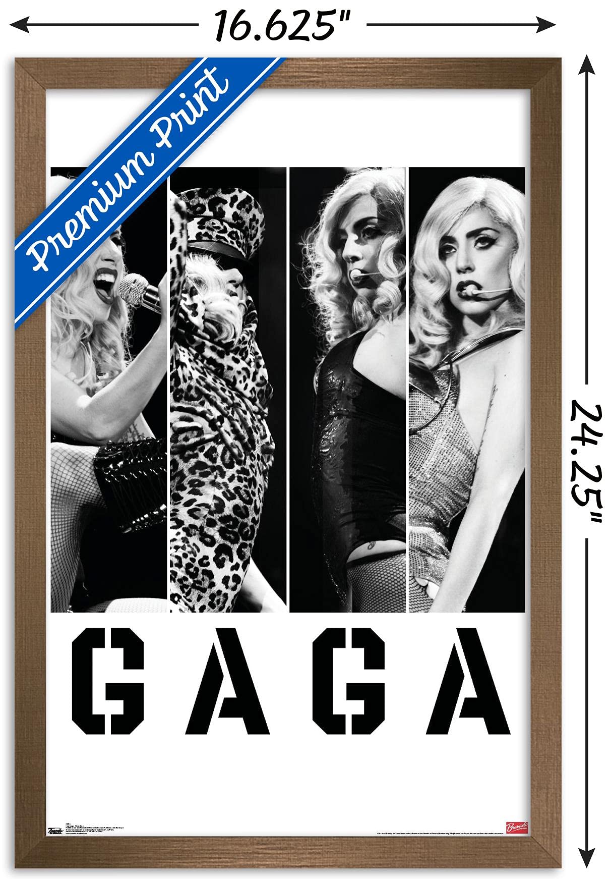 Trends International Lady Gaga - Photo Bars Wall Poster, 14.725'' X 22.375'', Bronze Framed Version