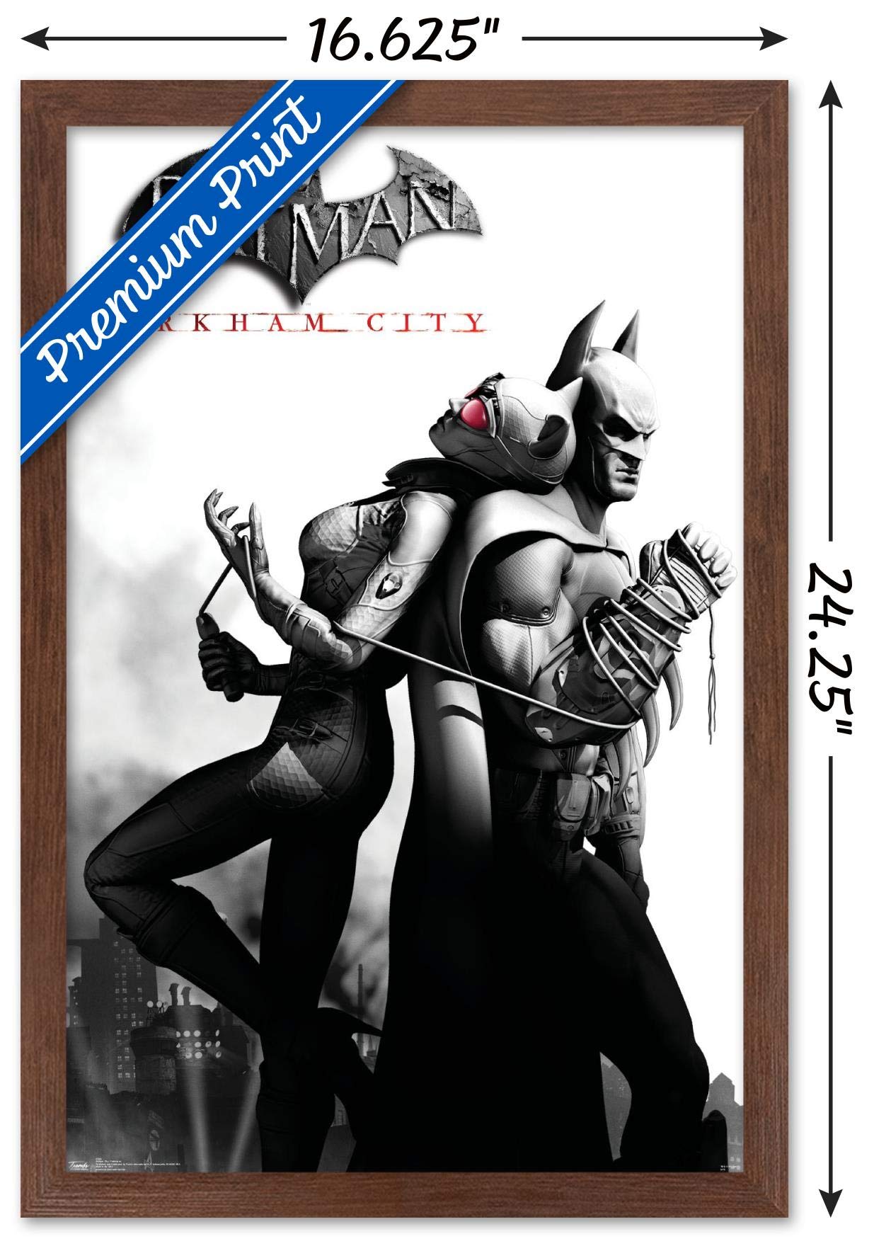 Trends International Dc Comics Video Game - Arkham City - Catwoman Wall Poster, 14.725'' X 22.375'', Mahogany Framed Version