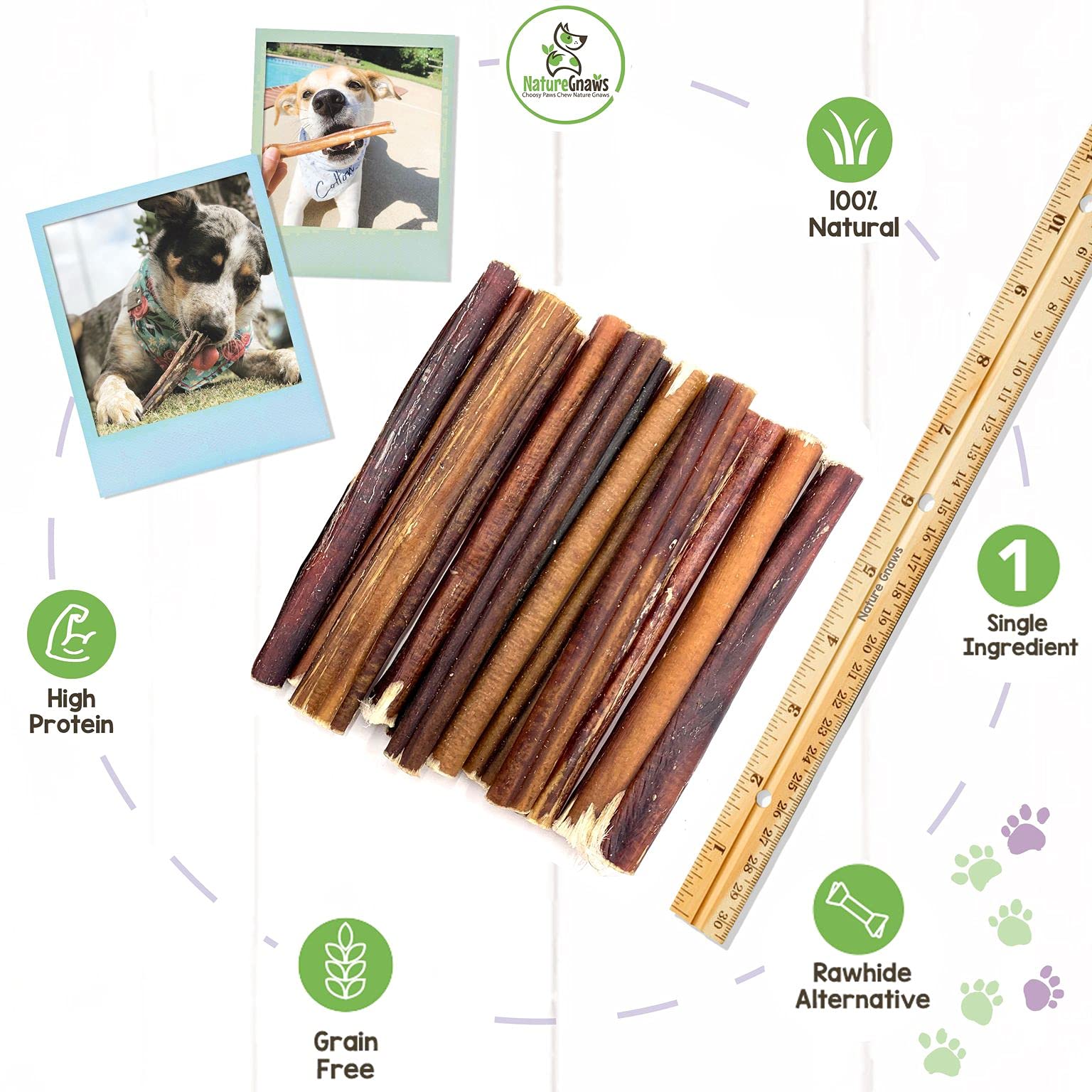 Nature Gnaws Bully Sticks For Large Dogs - Premium Natural Beef Bones - Thick Long Lasting Dog Chew Treats For Aggressive Chewer